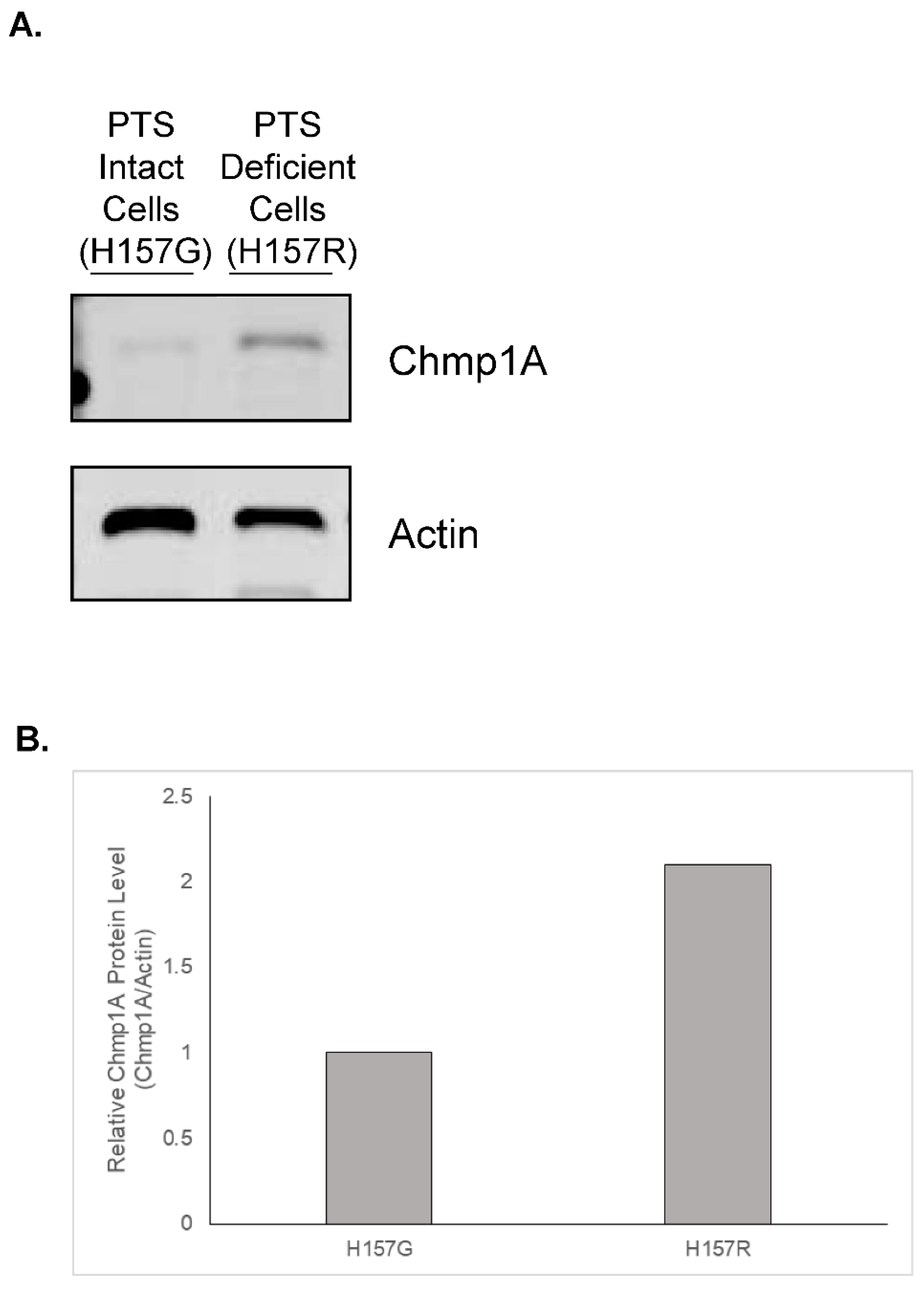 Medsci 10 00045 g001