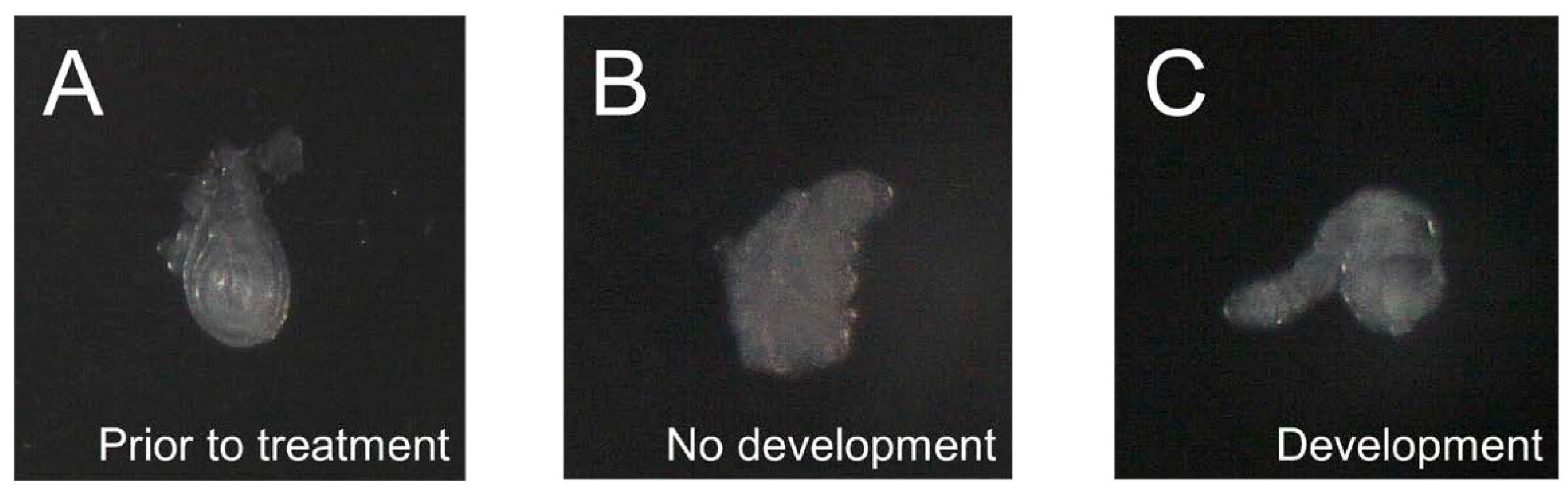 Medsci 10 00045 g002
