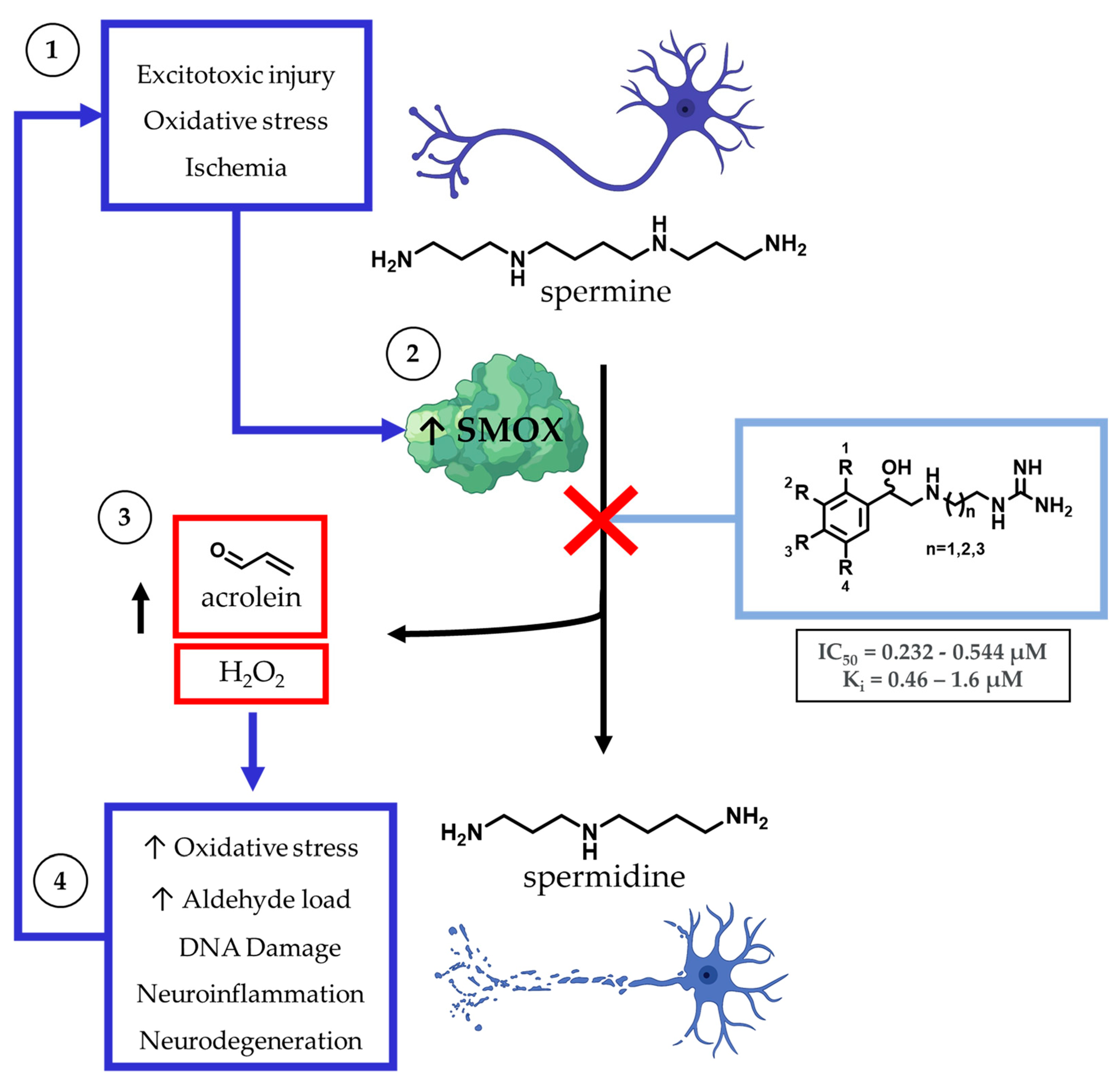 Medsci 10 00047 g001