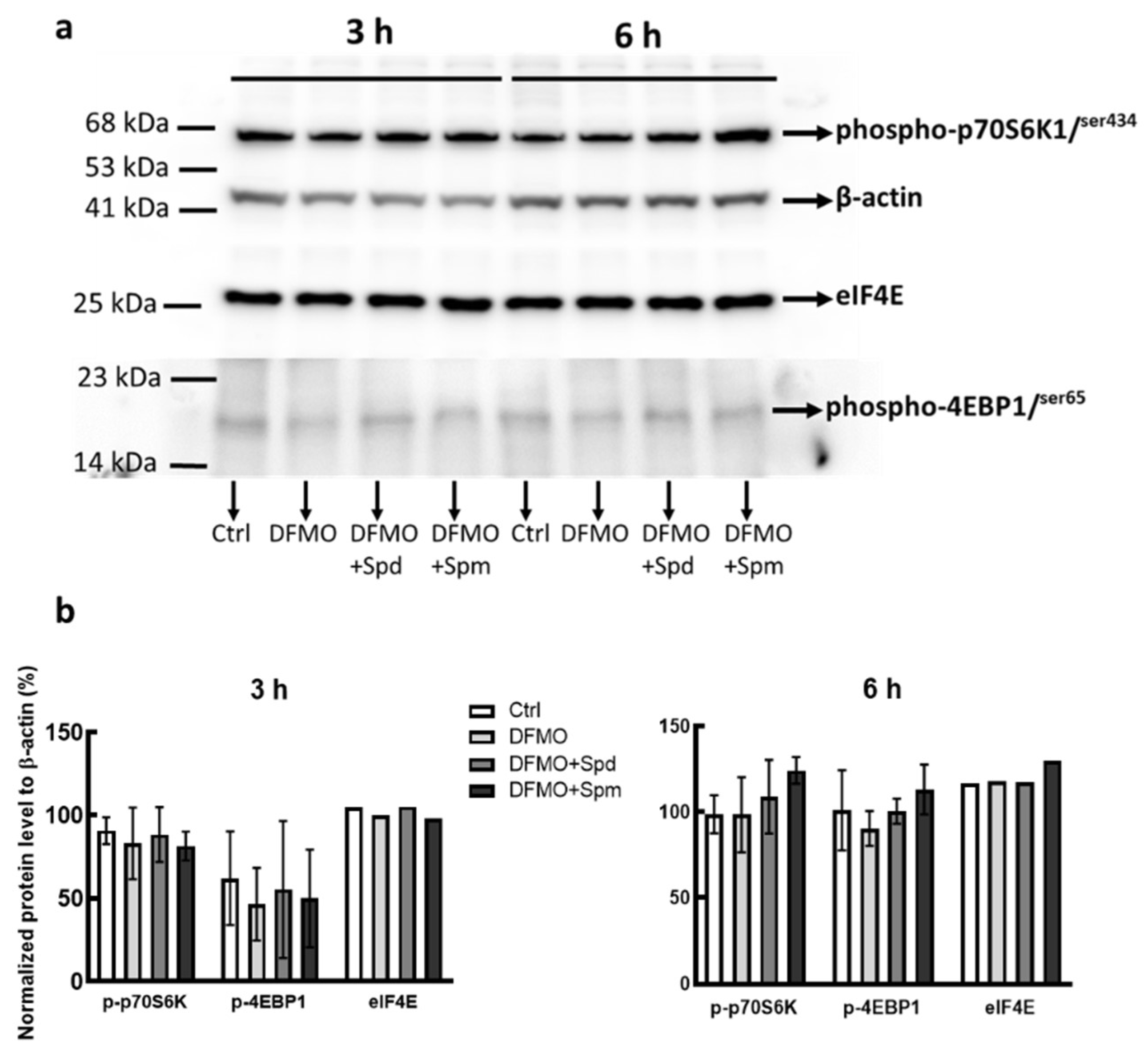Medsci 10 00051 g001