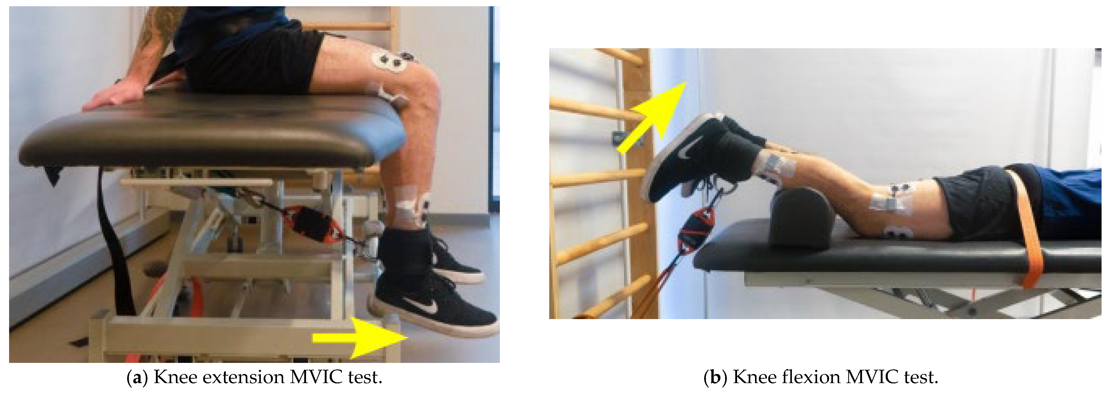 Medsci 10 00055 g002a Medsci 10 00055 g002a