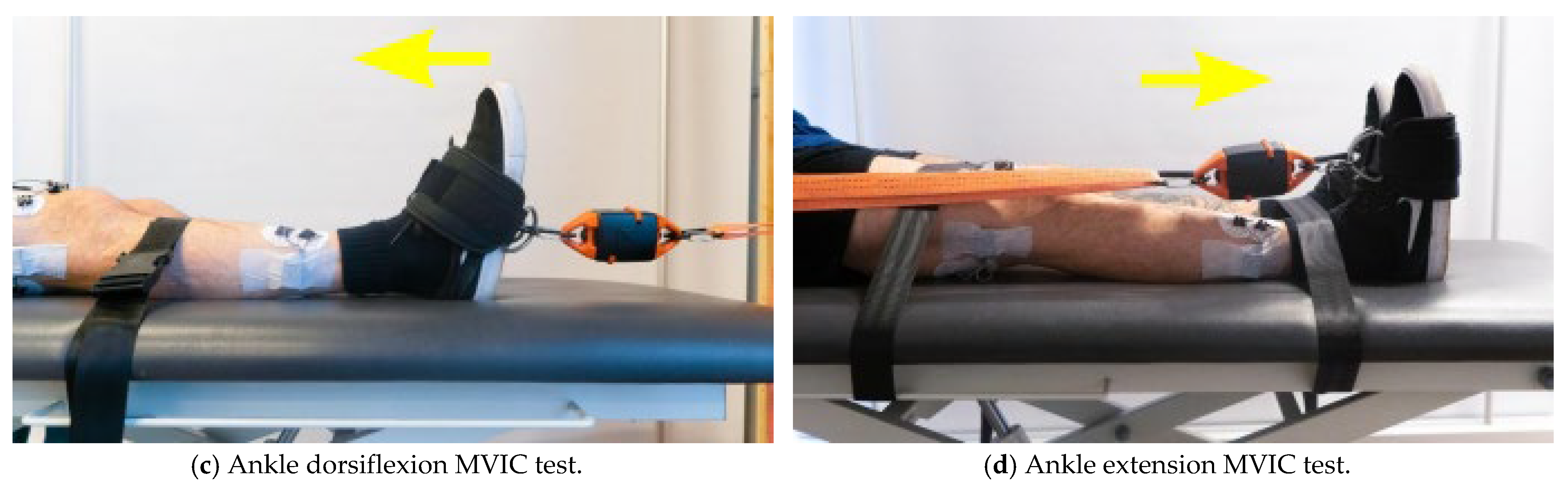 Medsci 10 00055 g002b Medsci 10 00055 g002b