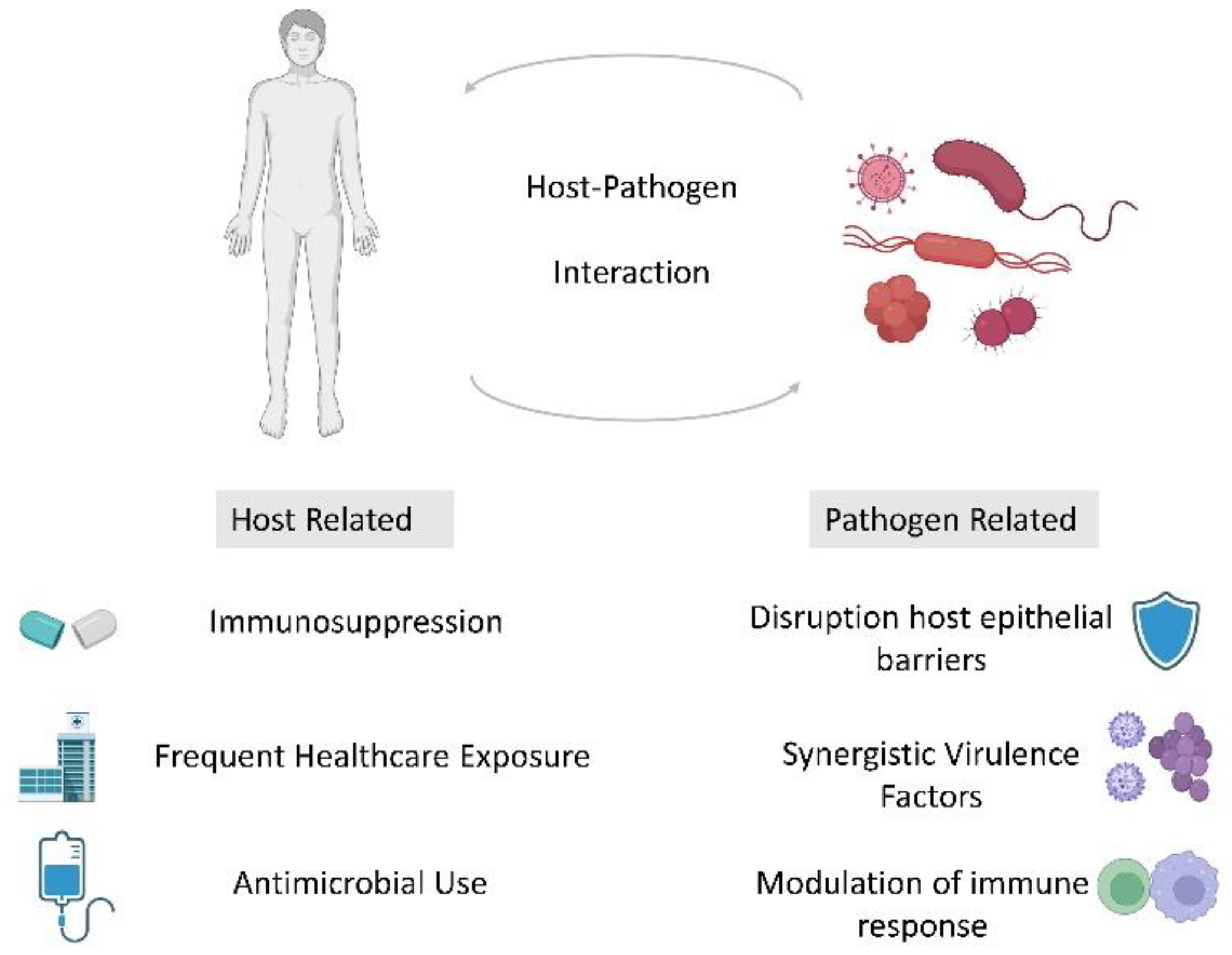 Medsci 10 00060 g001