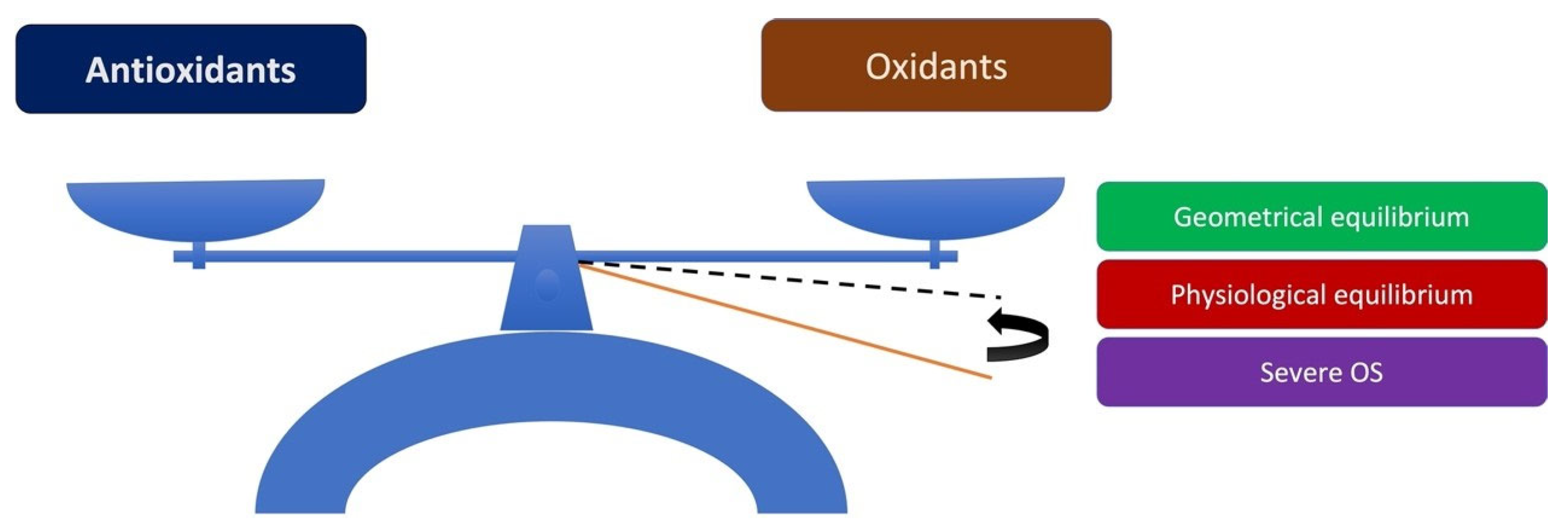 Medsci 10 00068 g001