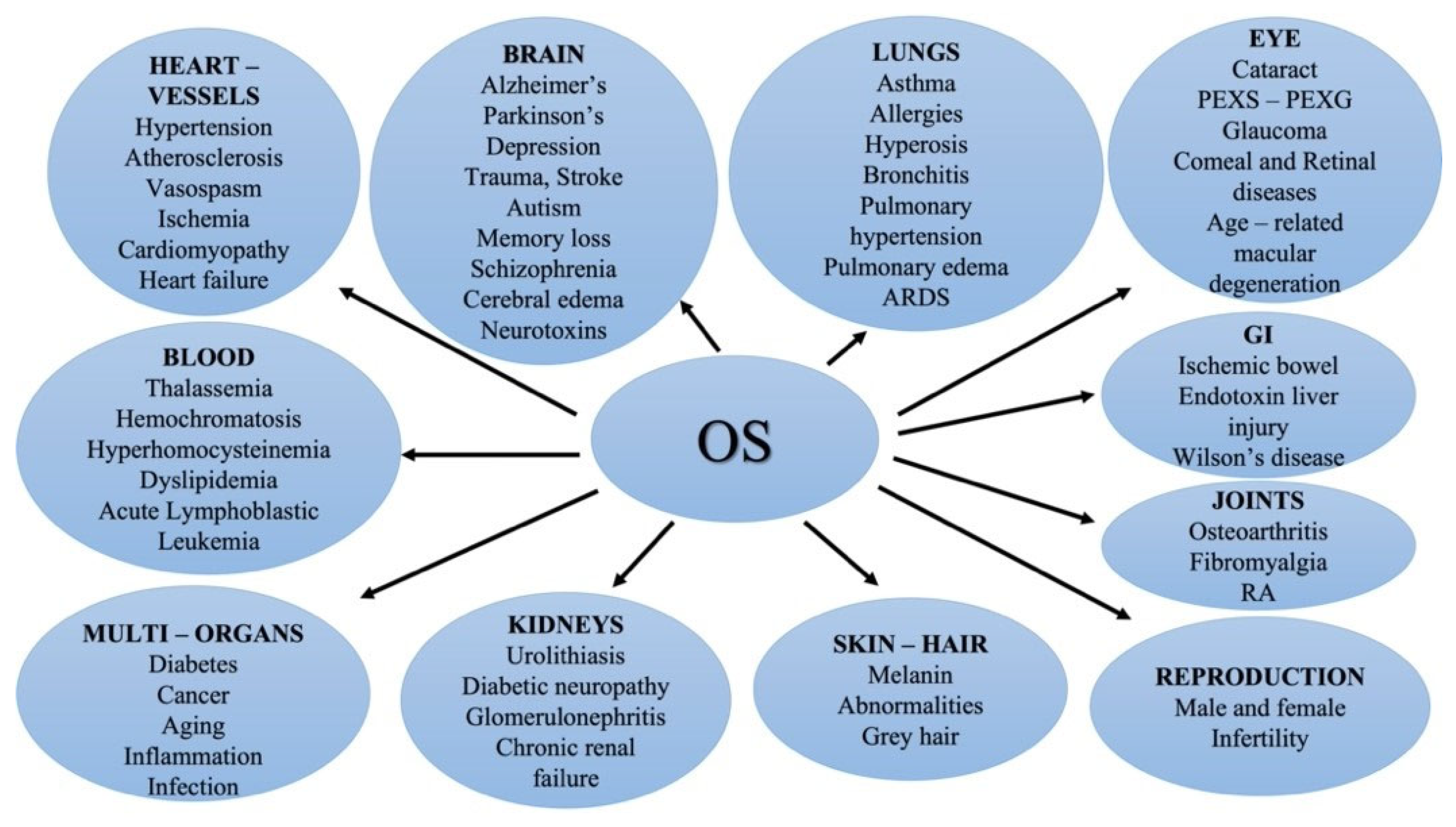 Medsci 10 00068 g003
