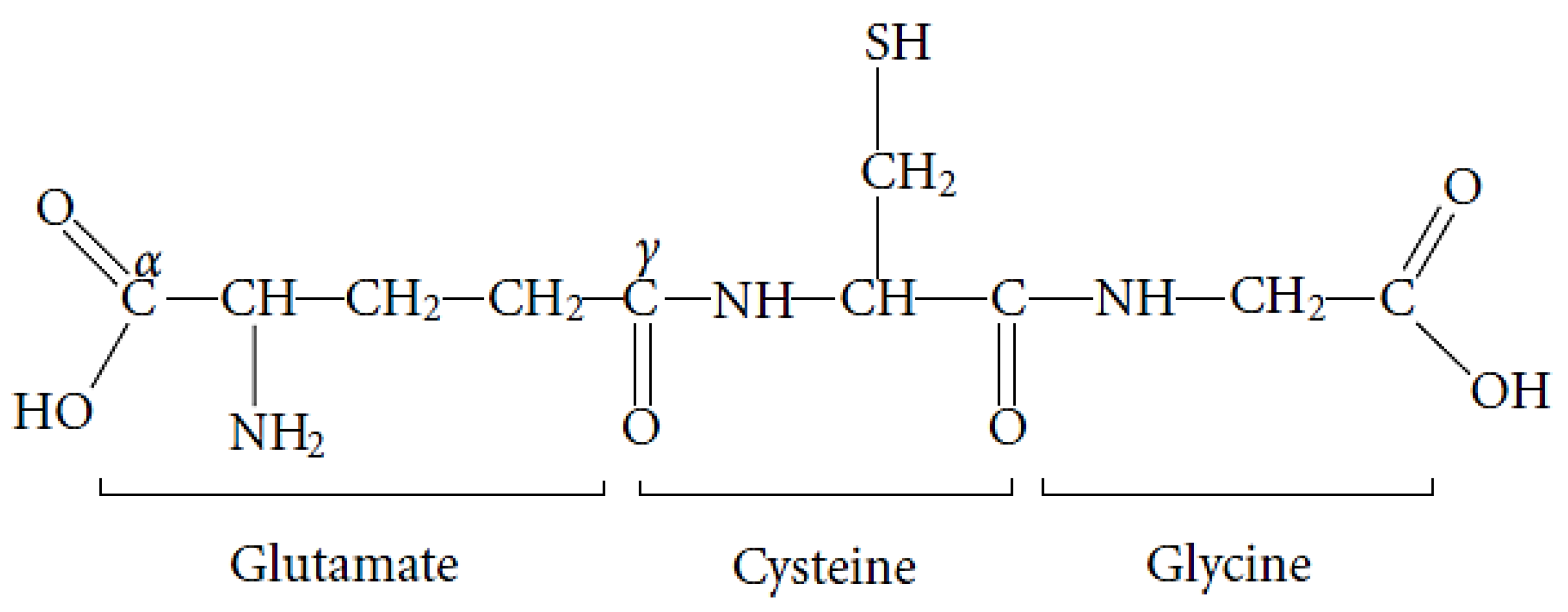 Medsci 10 00068 g005