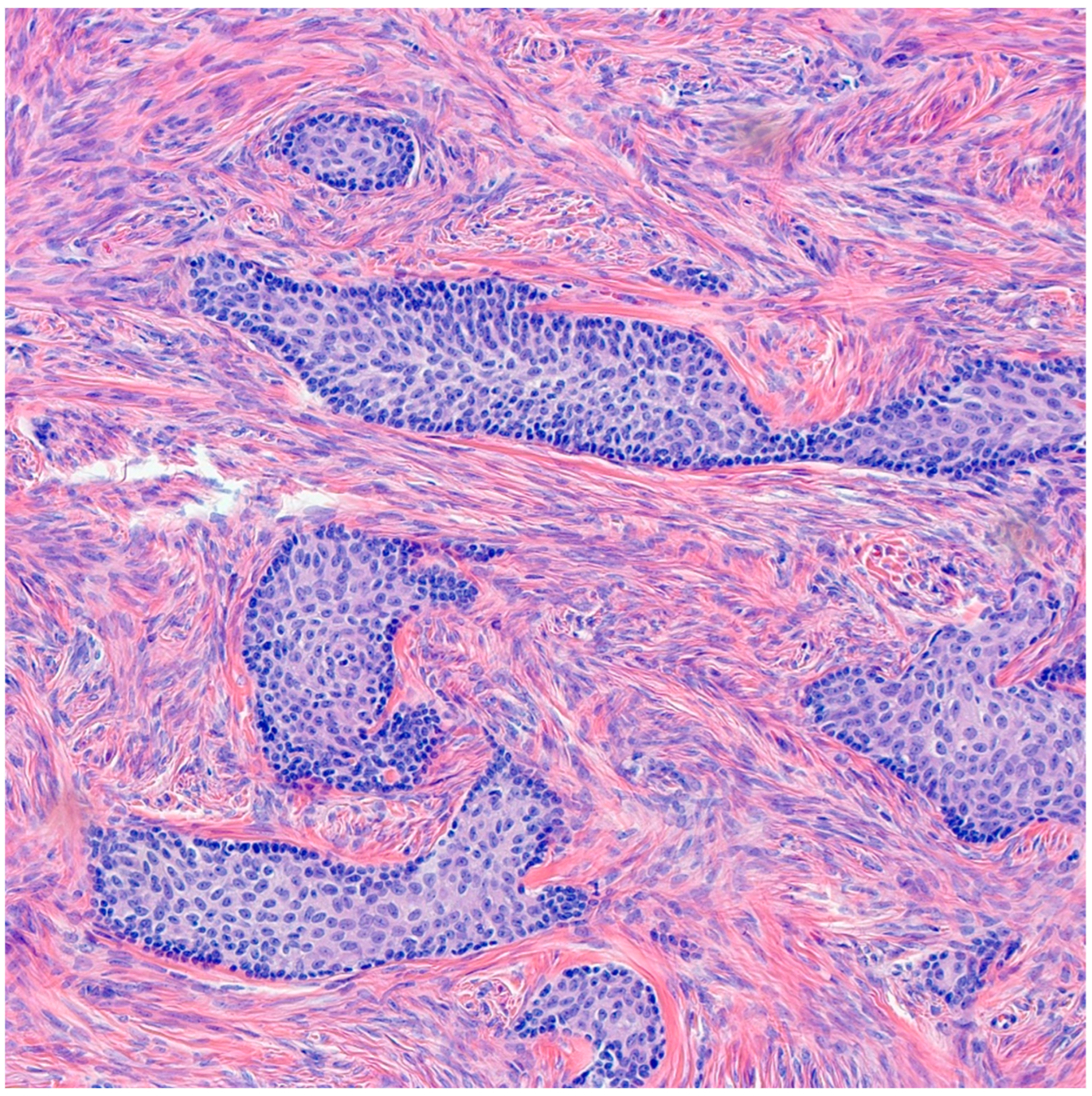 Medsci 11 00018 g003