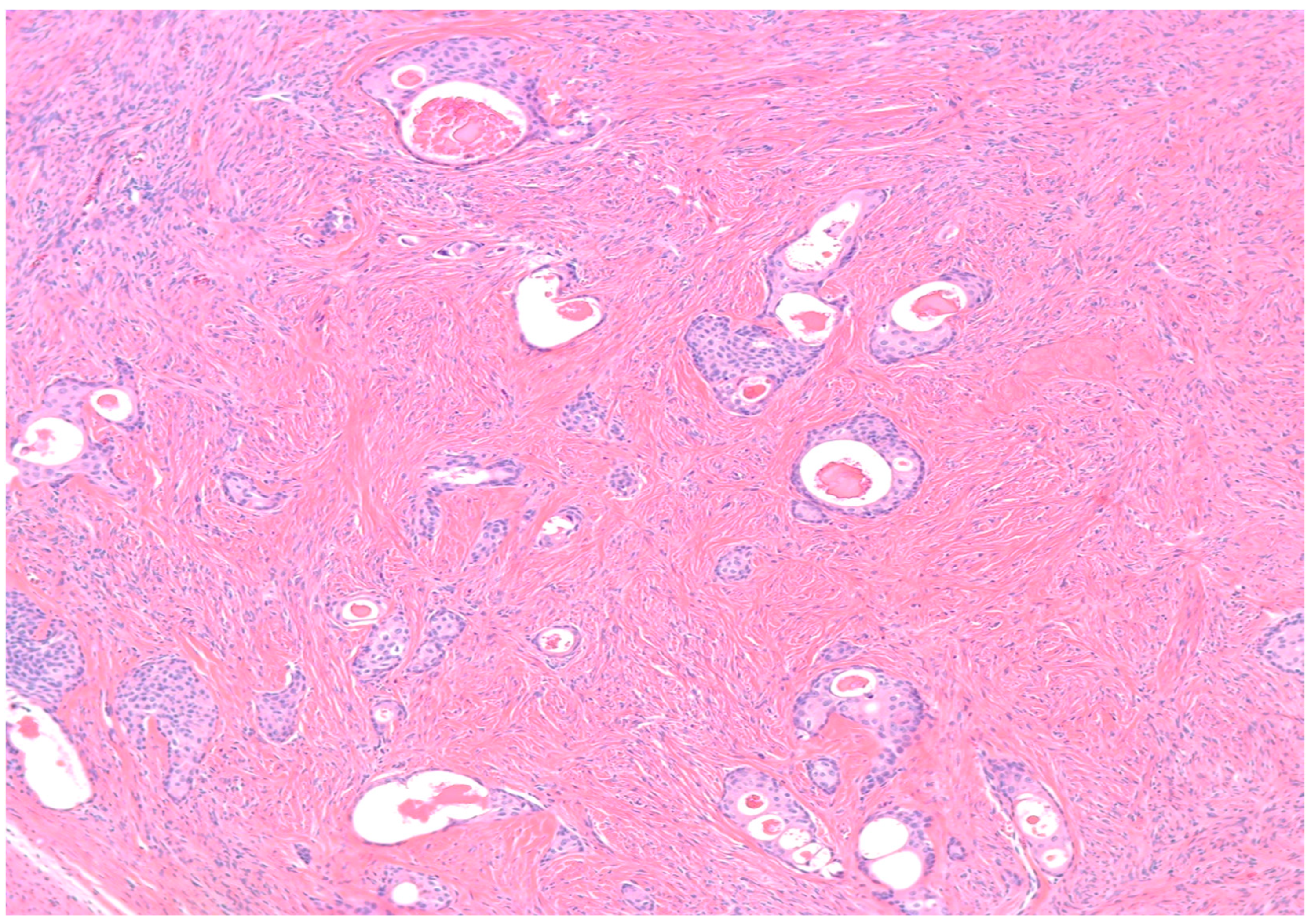 Medsci 11 00018 g004