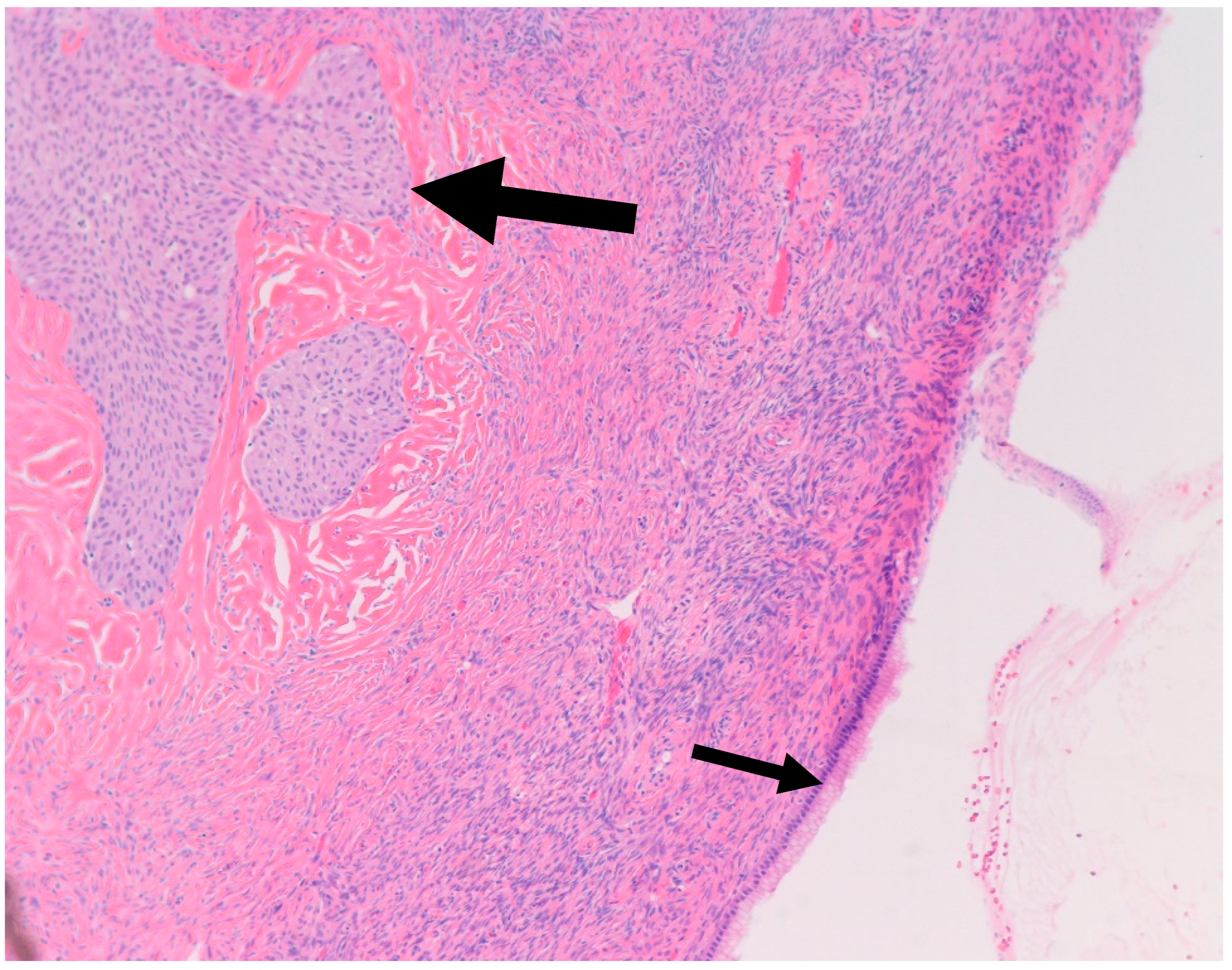 Medsci 11 00018 g007