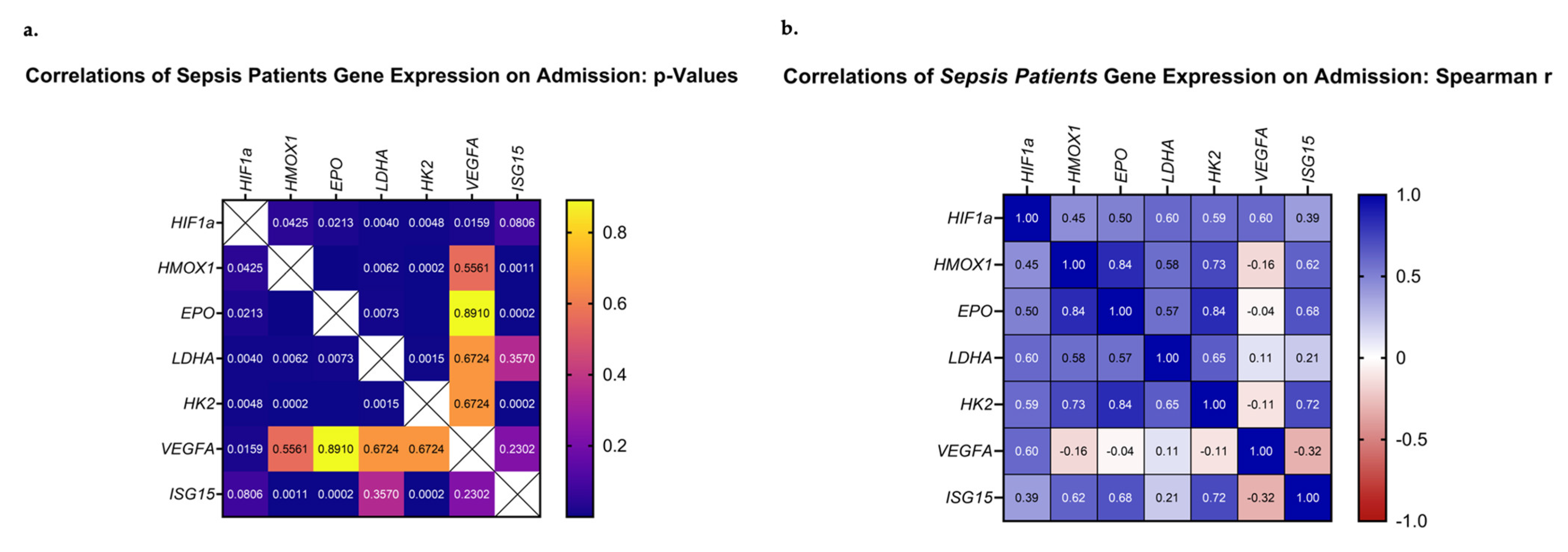 Medsci 11 00041 g005 Medsci 11 00041 g005