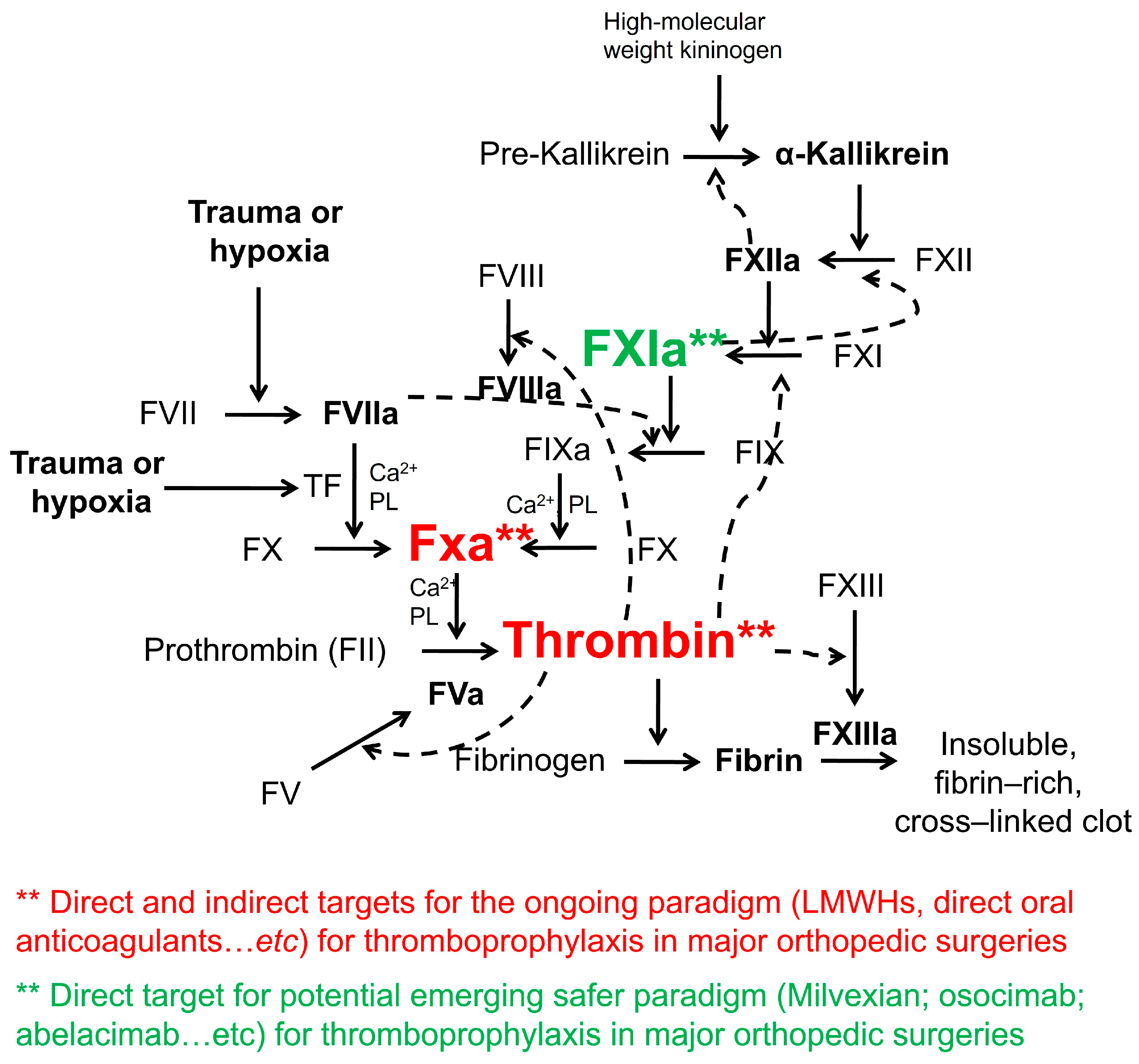 Medsci 11 00049 g001