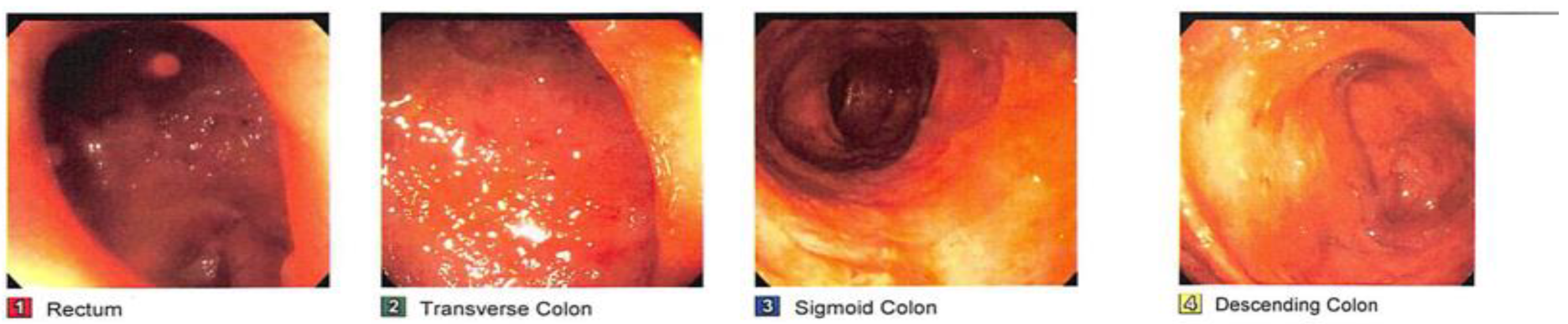Medsci 11 00052 g001