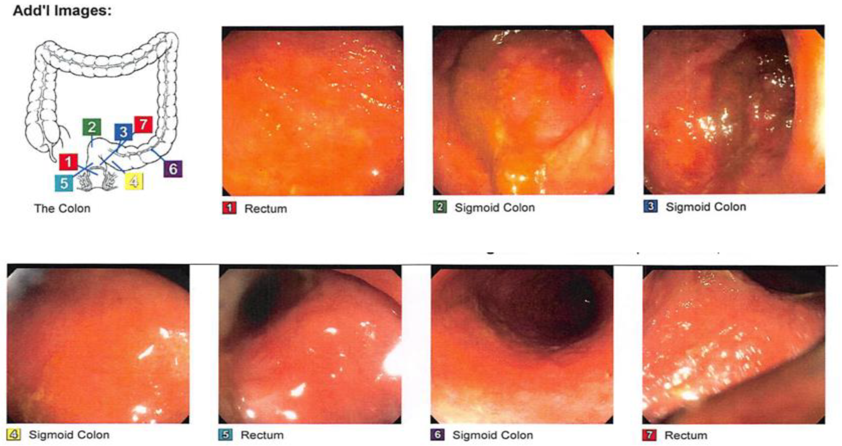 Medsci 11 00052 g002