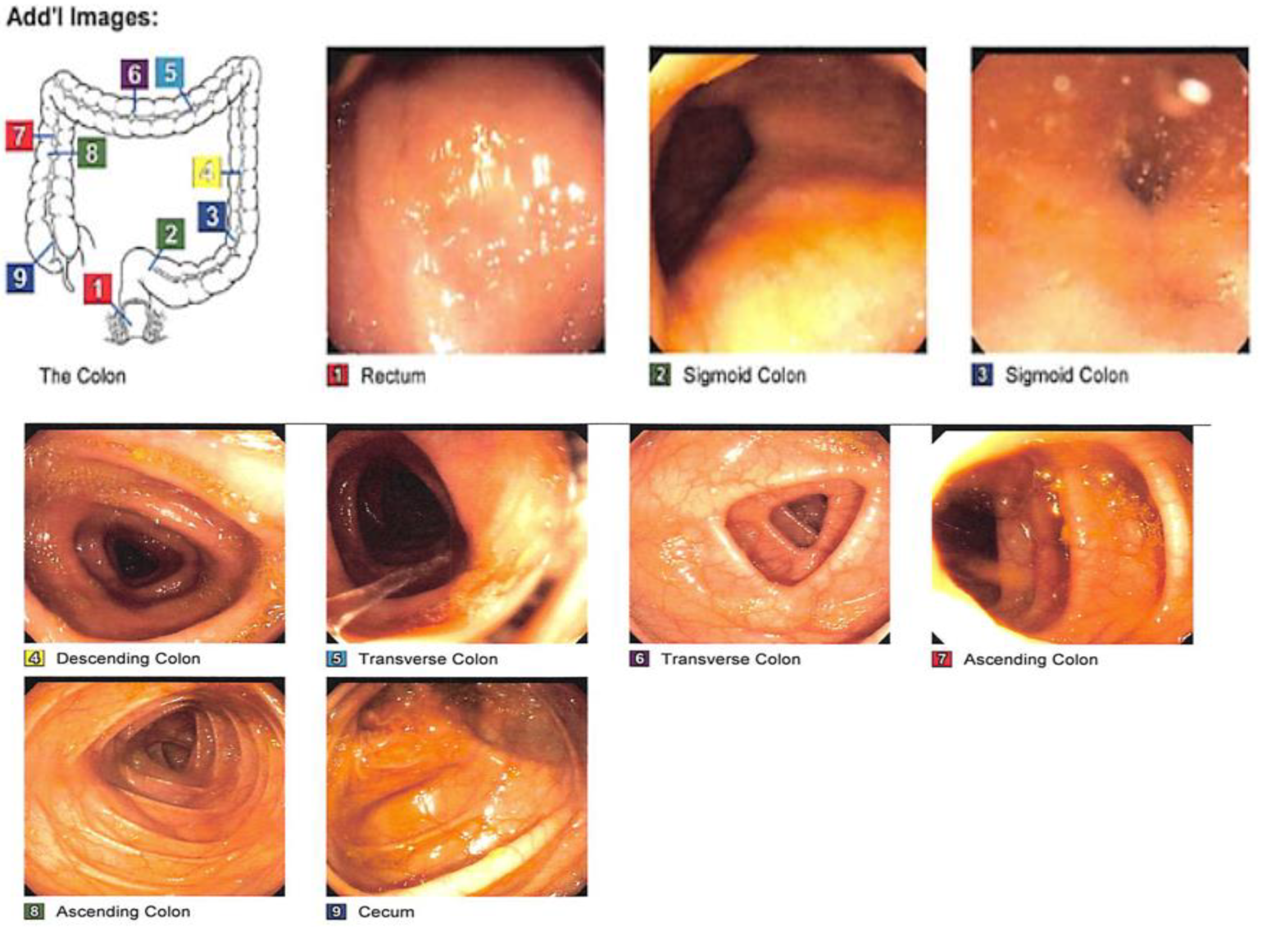 Medsci 11 00052 g003