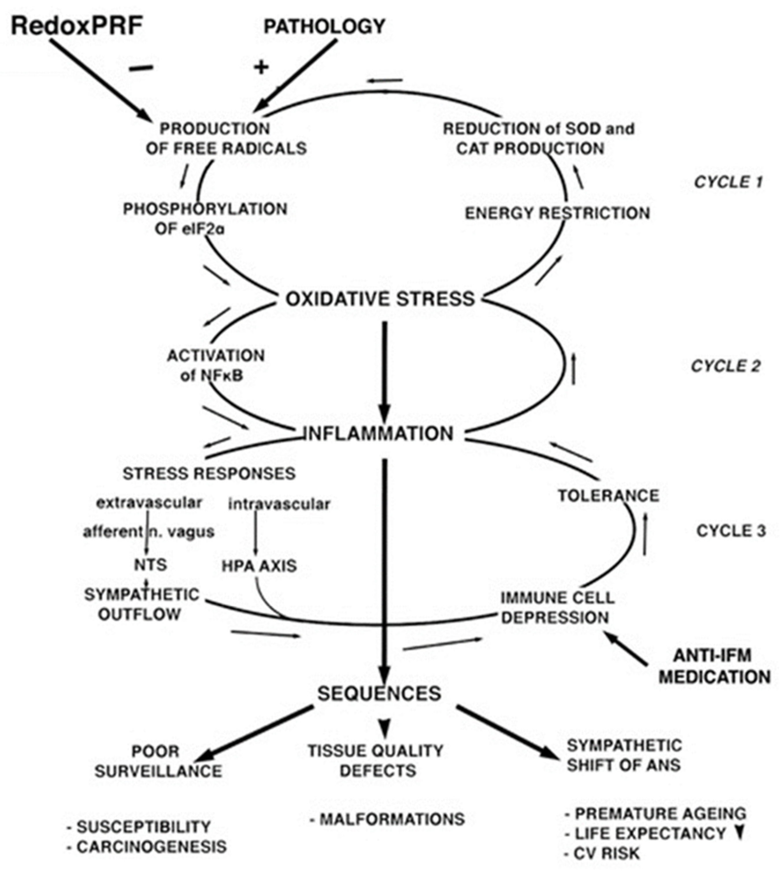 Medsci 11 00058 g002