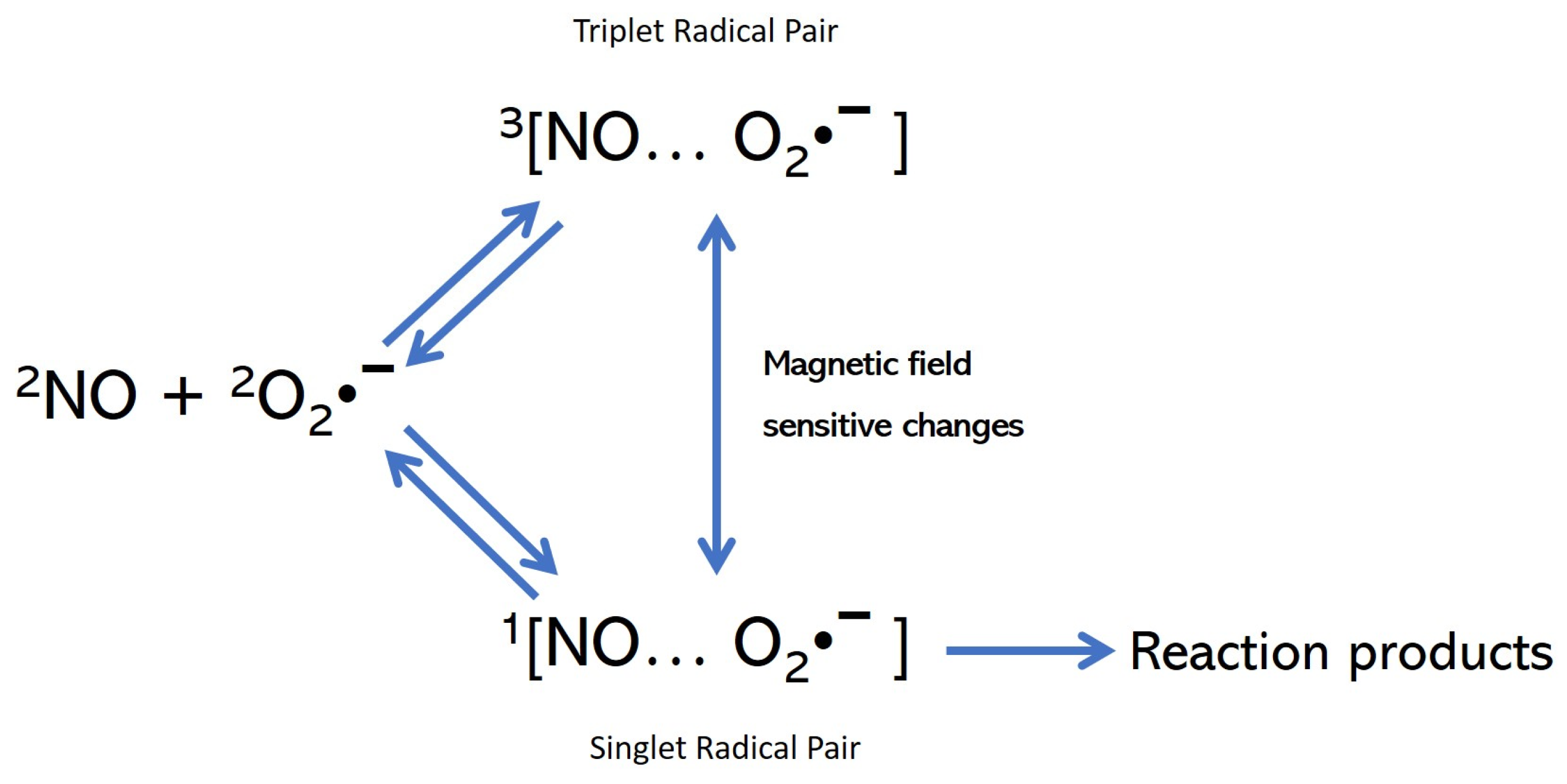 Medsci 11 00058 g003