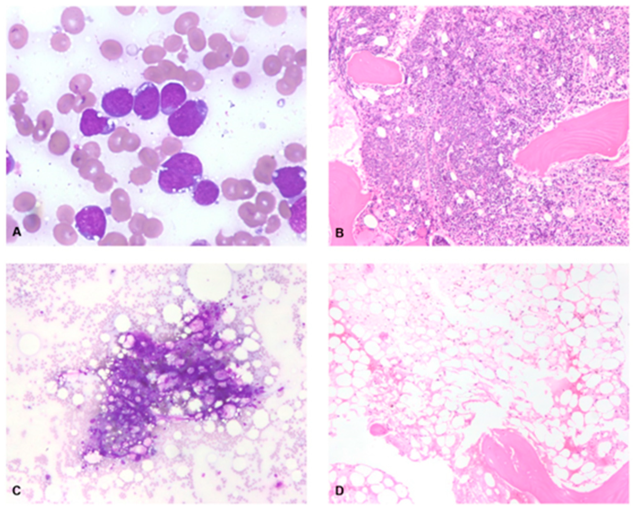 Medsci 11 00067 g001