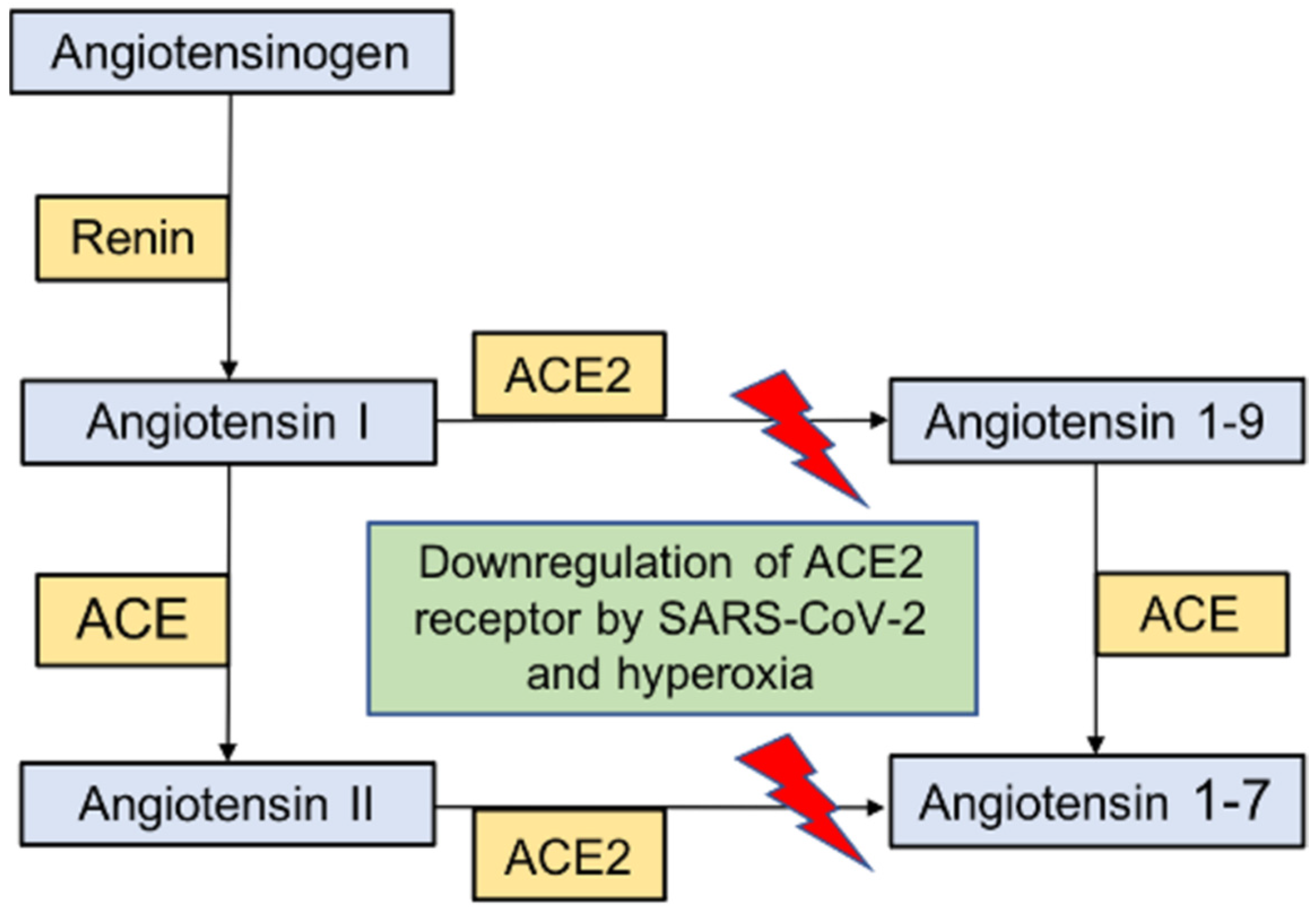 Medsci 11 00070 g003