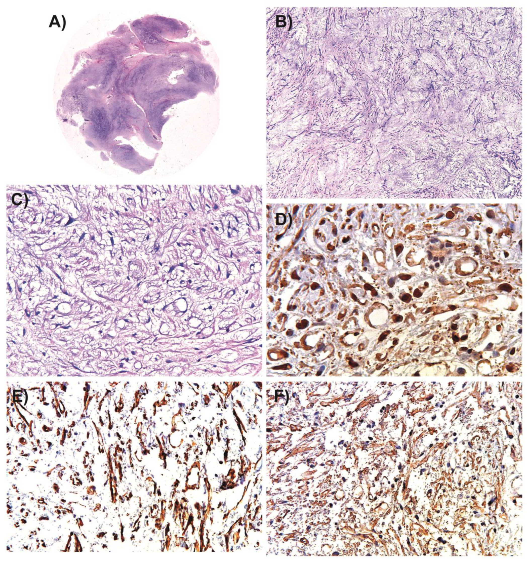Medsci 11 00072 g002