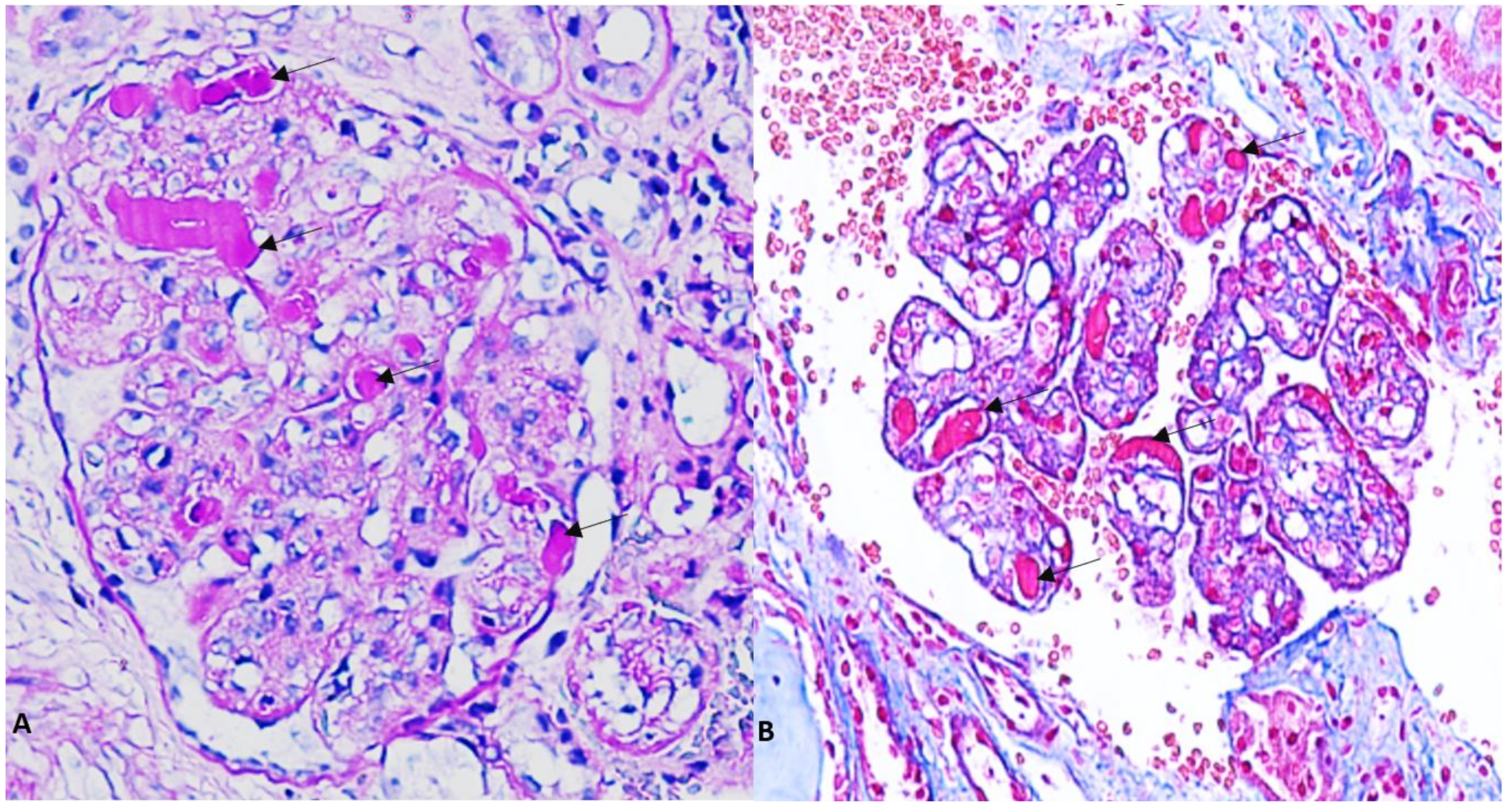 Medsci 11 00077 g001
