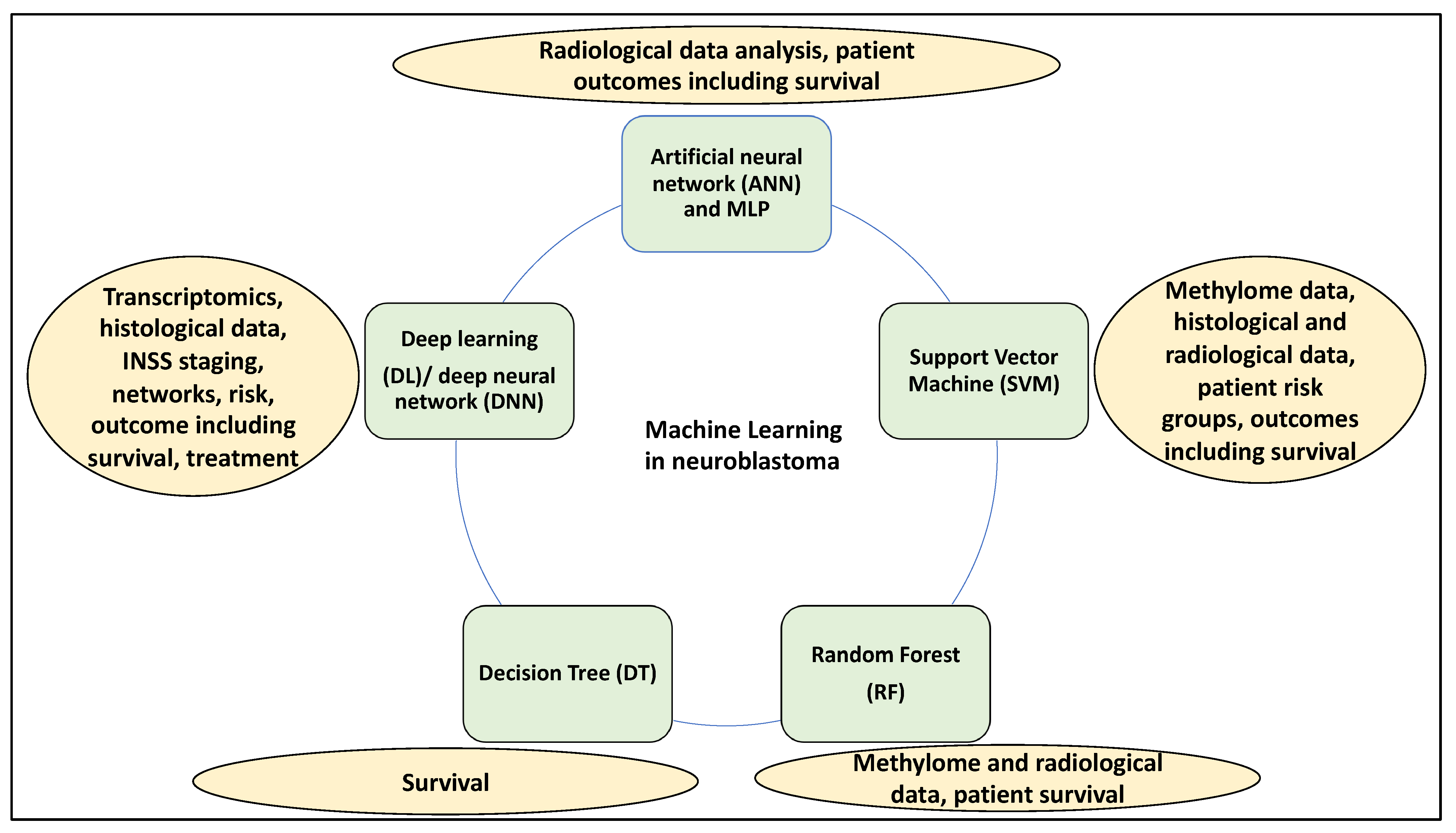 Medsci 12 00005 g001 Medsci 12 00005 g001