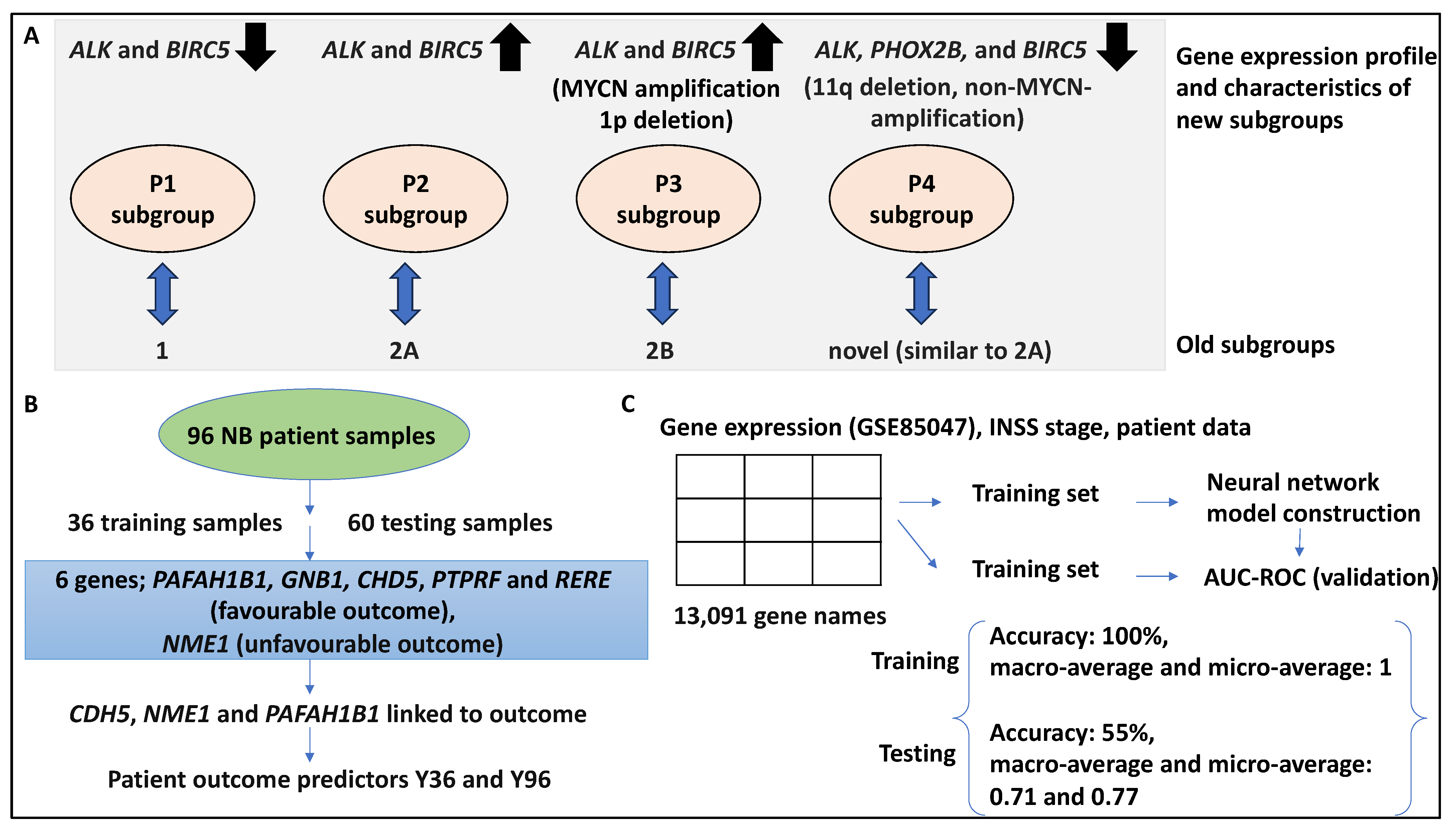 Medsci 12 00005 g002 Medsci 12 00005 g002