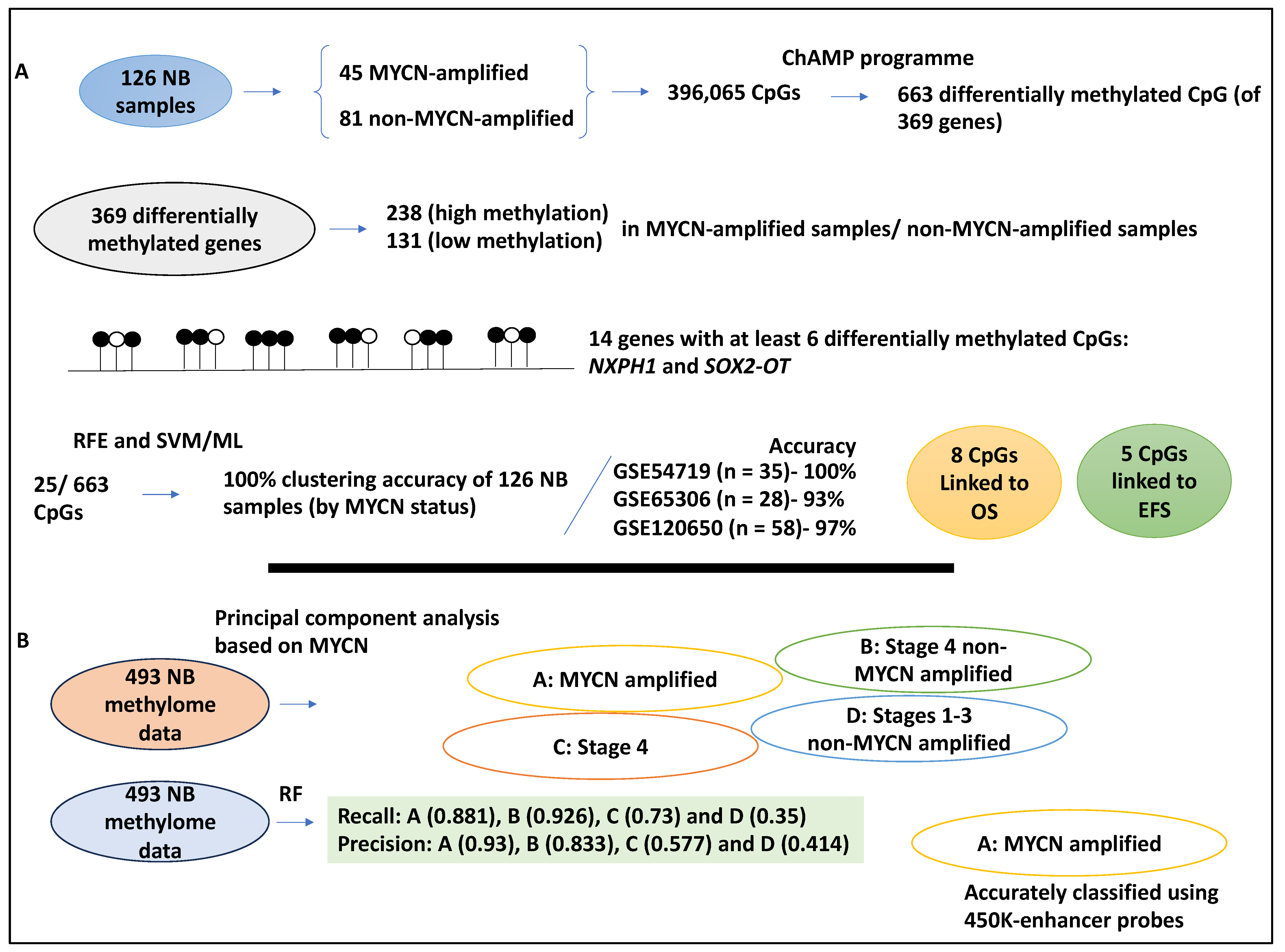 Medsci 12 00005 g003 Medsci 12 00005 g003