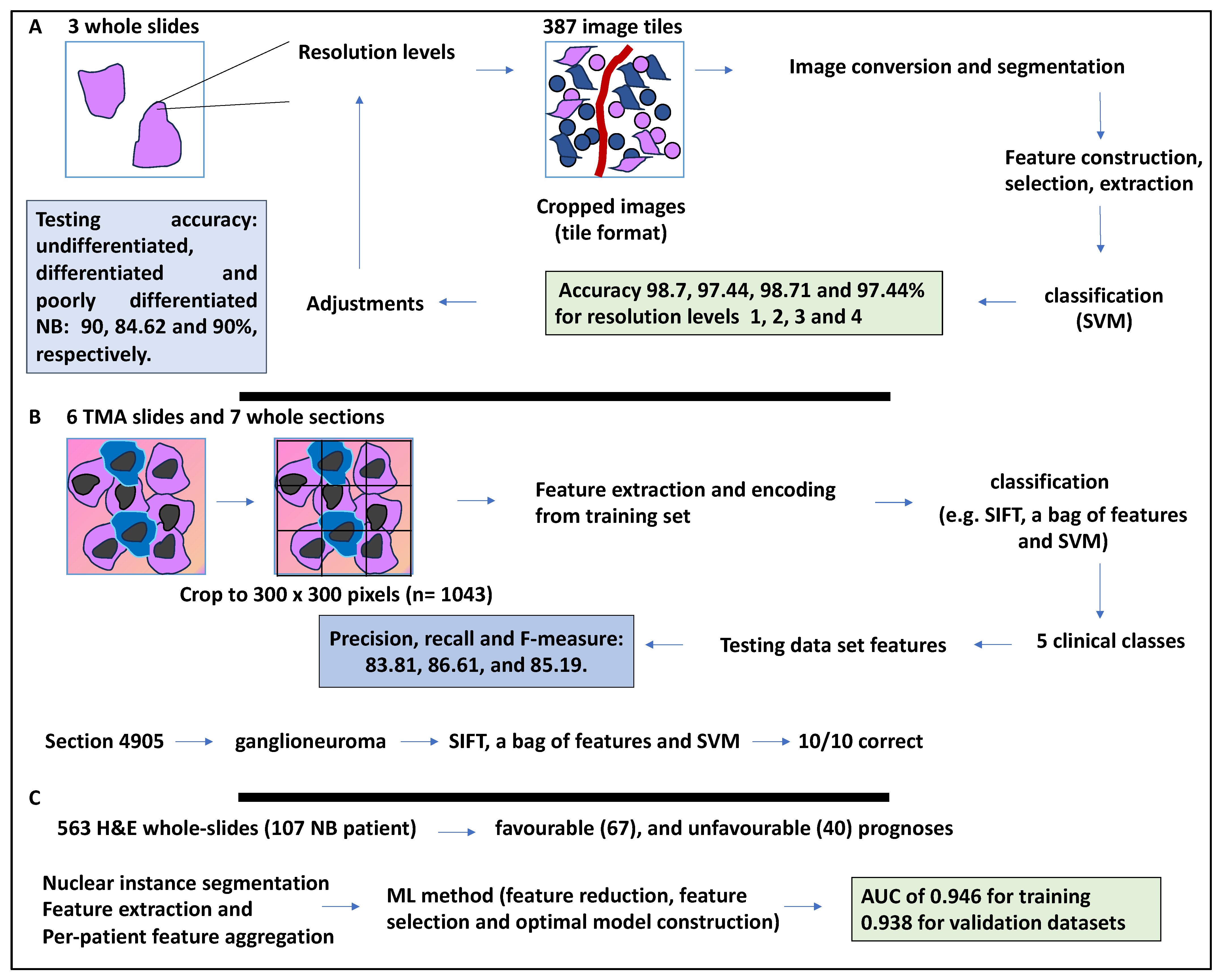 Medsci 12 00005 g004 Medsci 12 00005 g004