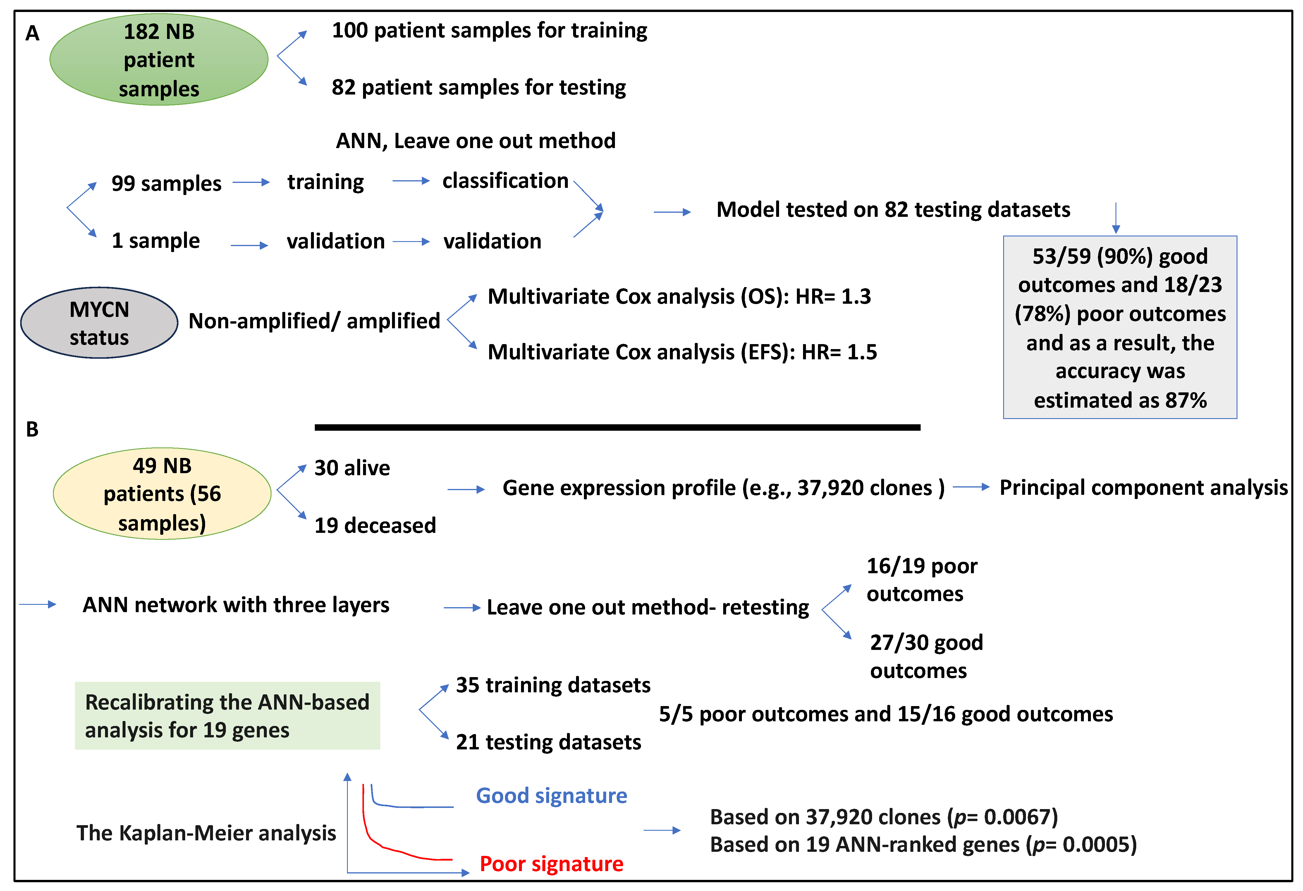 Medsci 12 00005 g007 Medsci 12 00005 g007