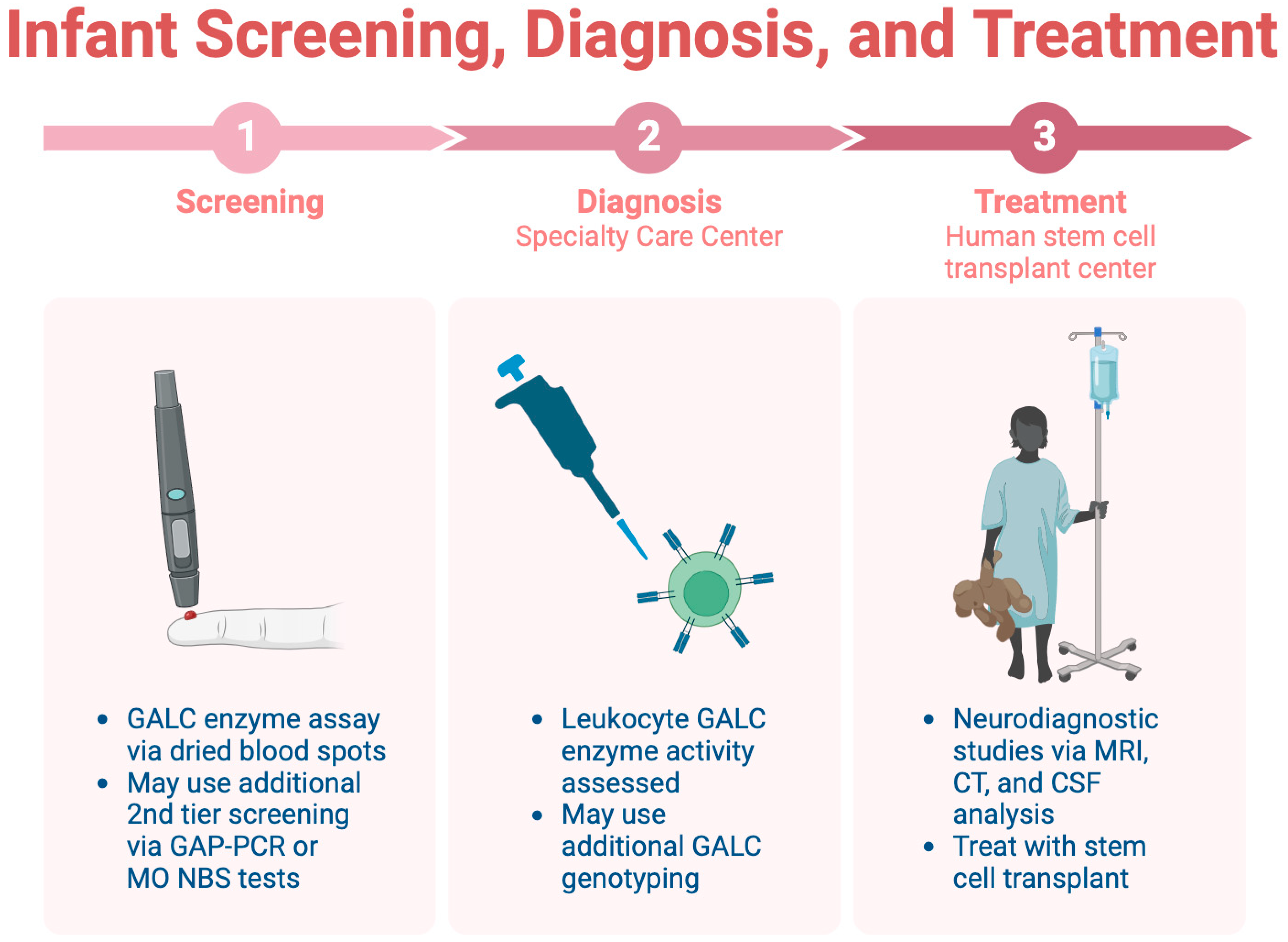 Medsci 12 00007 g004