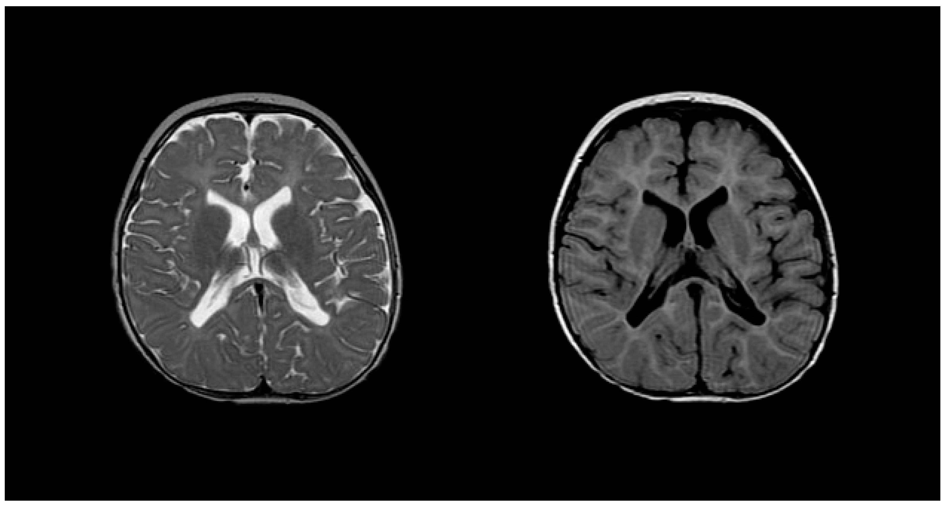 Medsci 12 00007 g005