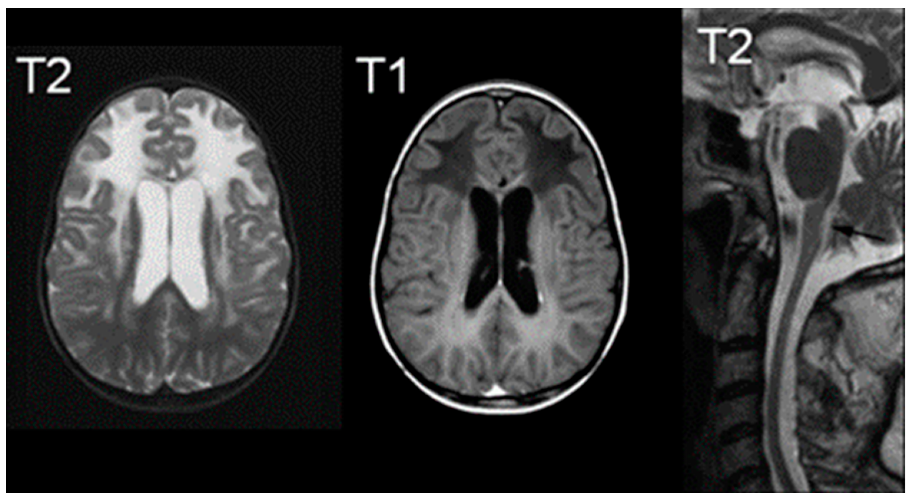 Medsci 12 00007 g006