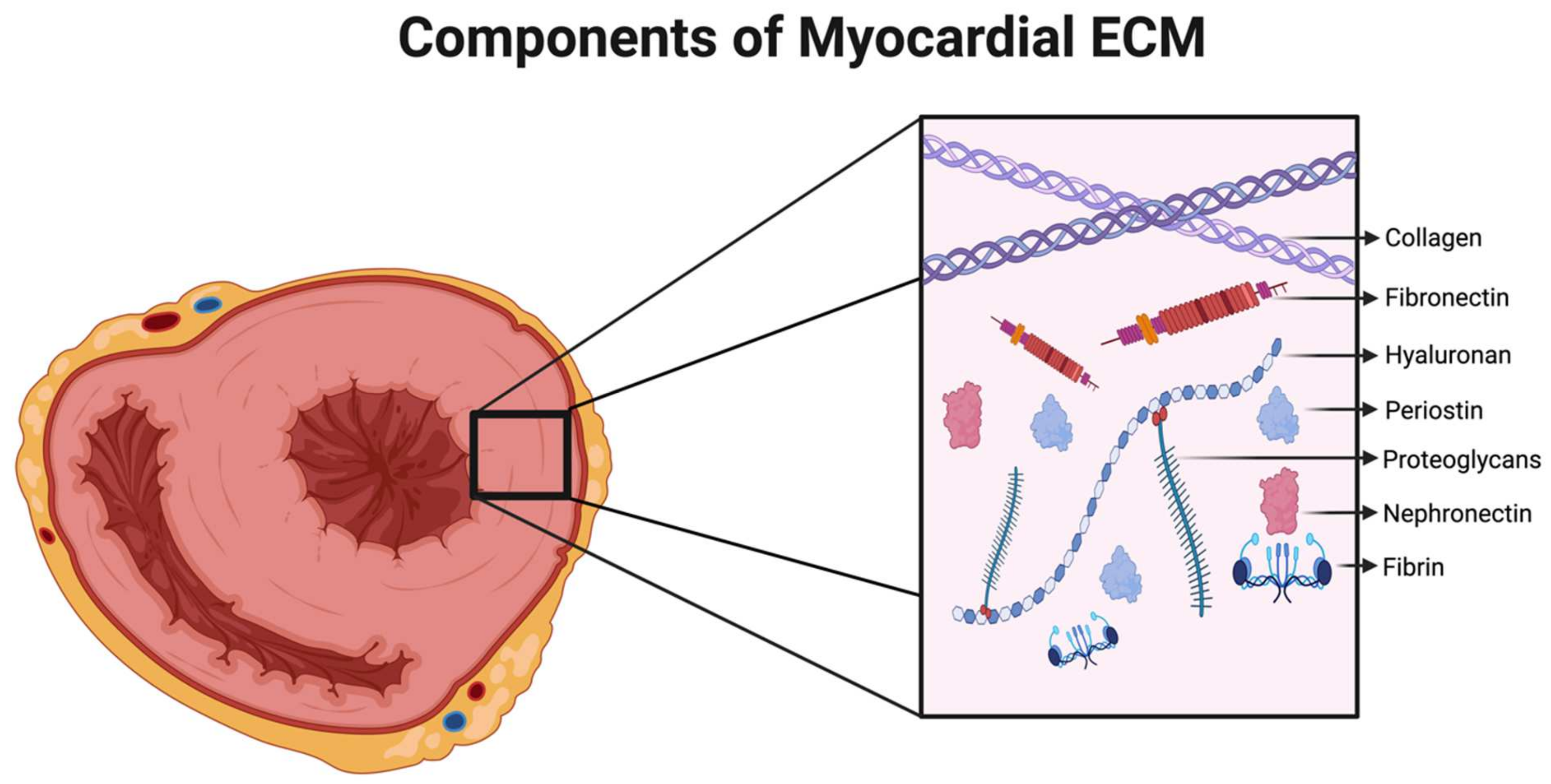 Medsci 12 00008 g001