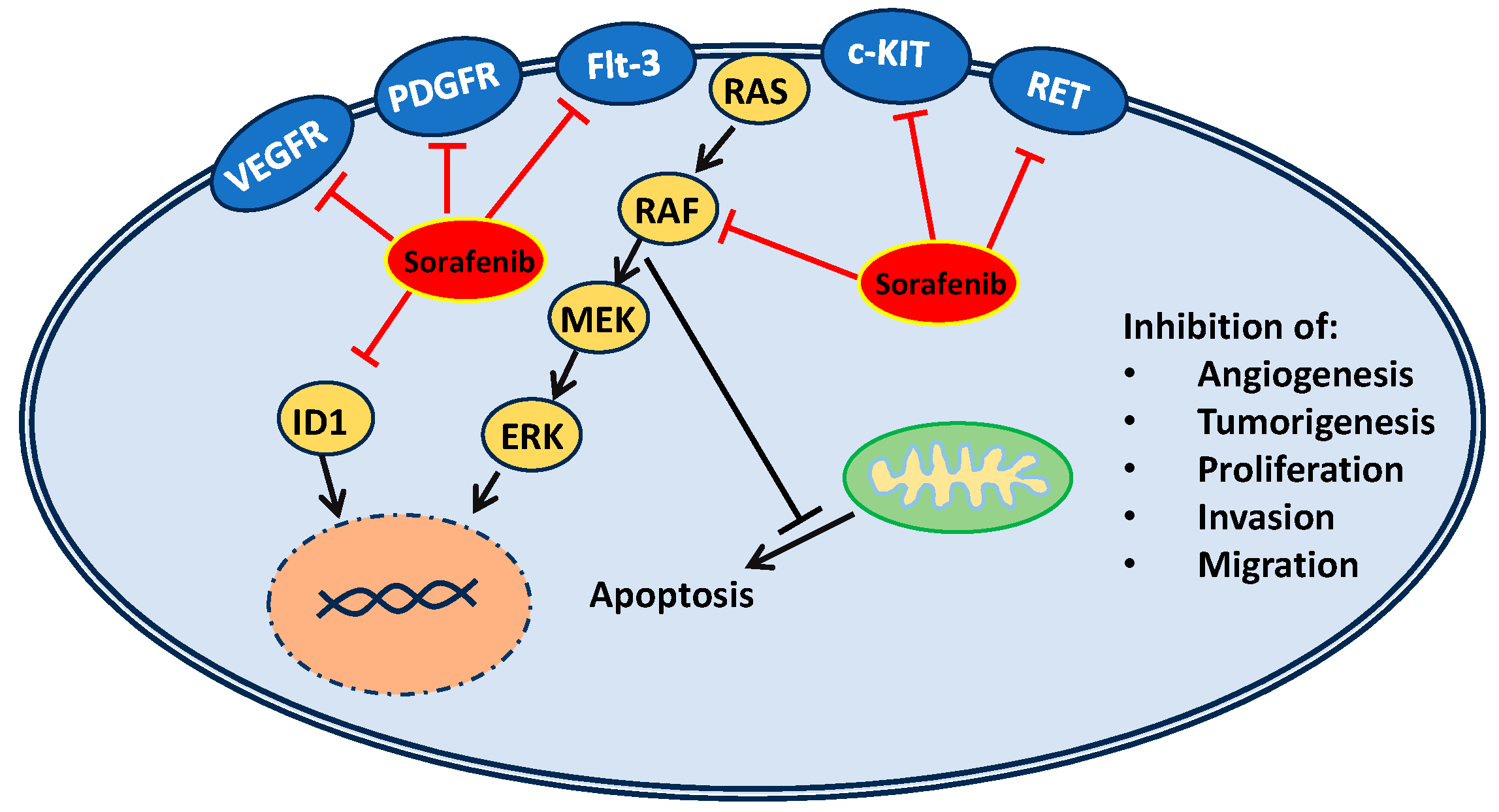 Medsci 12 00020 g001