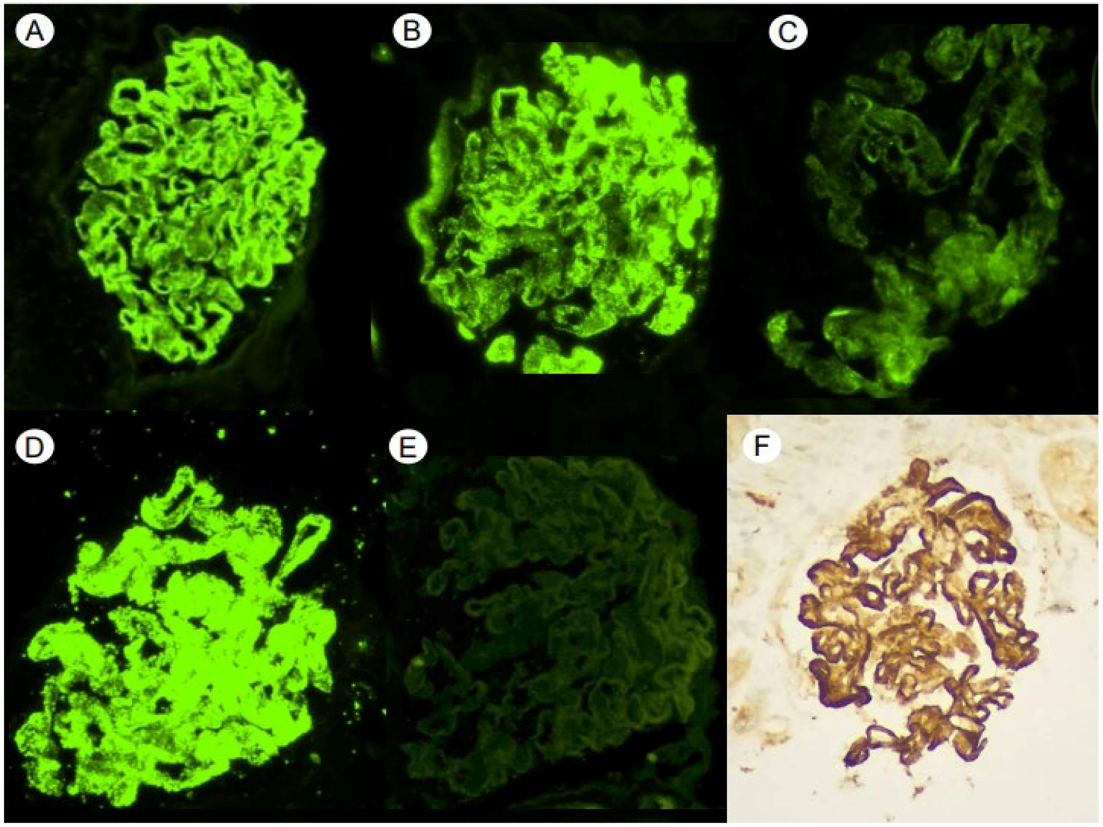 Medsci 12 00025 g002