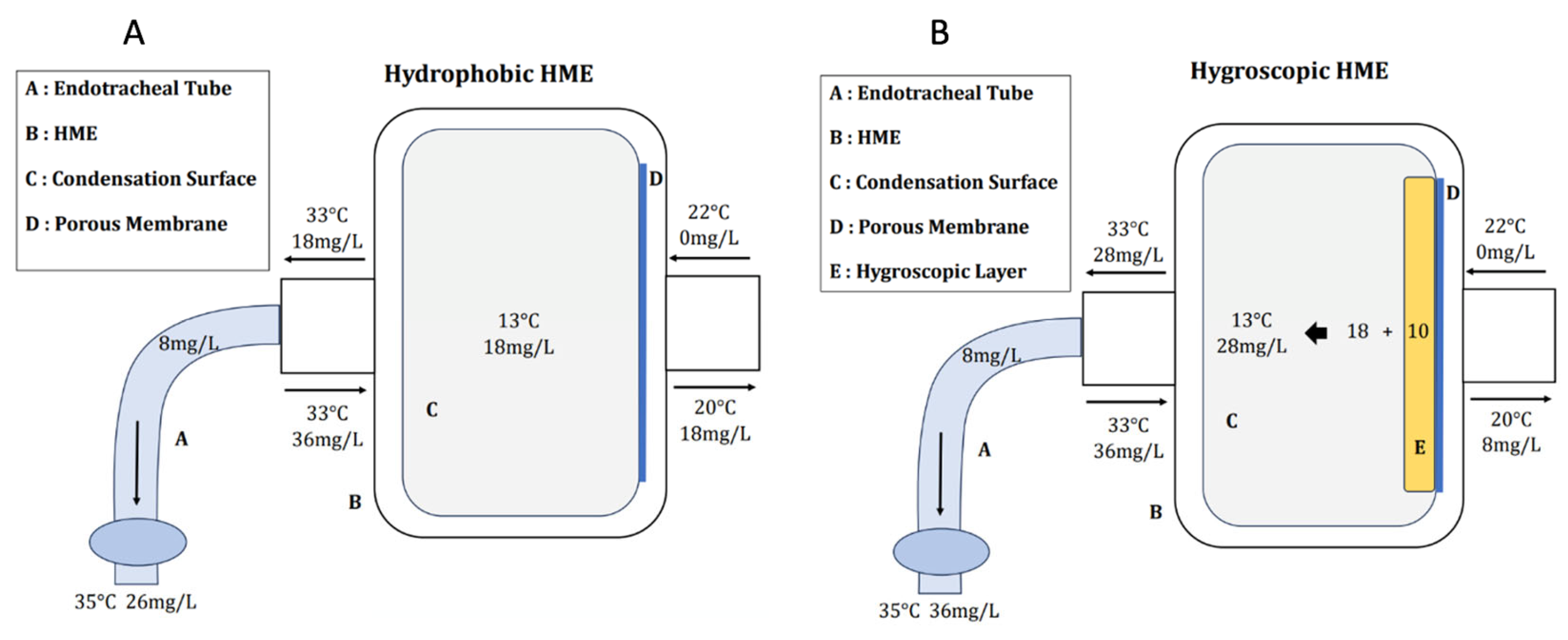 Medsci 12 00026 g002