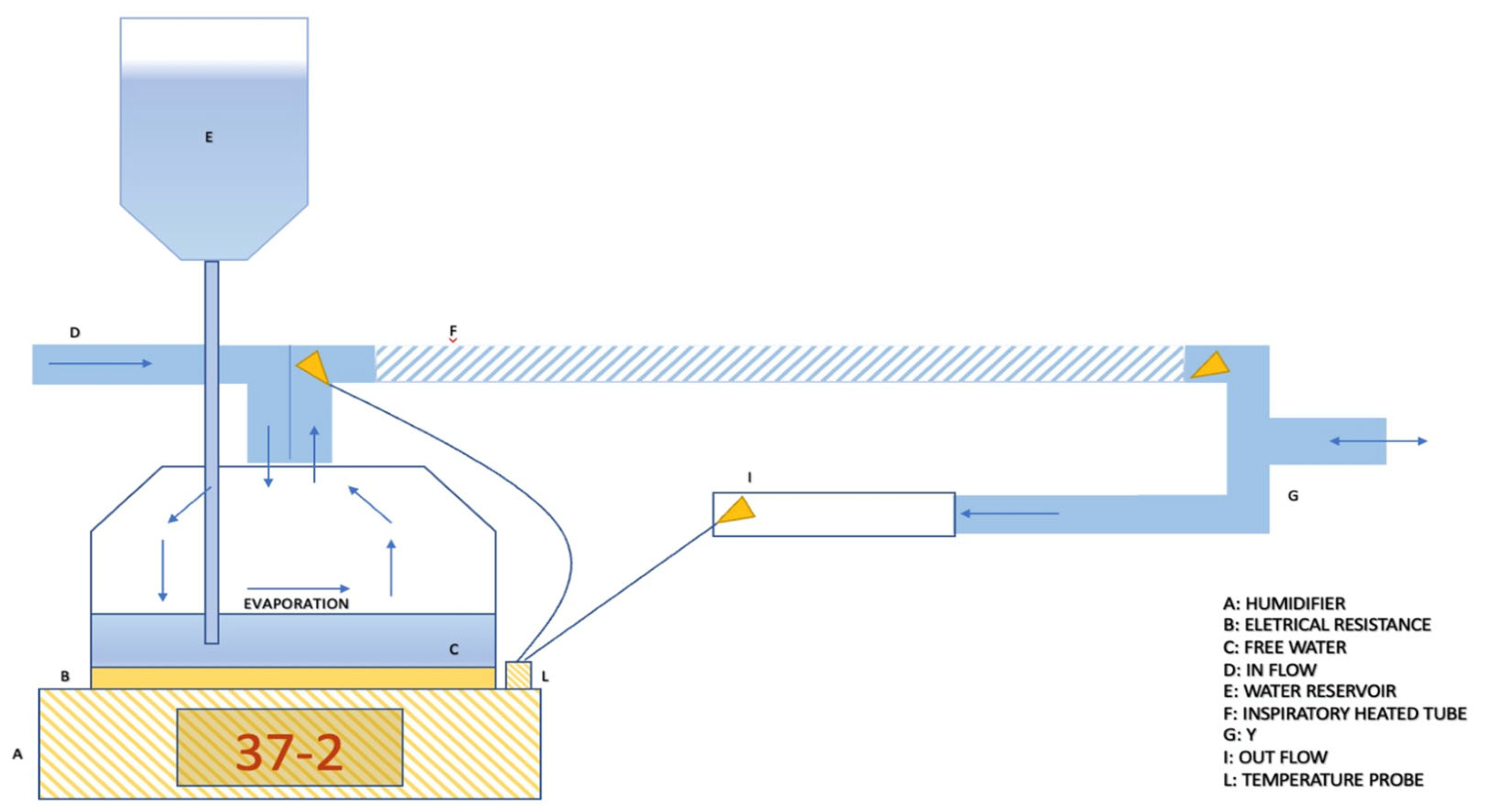 Medsci 12 00026 g004