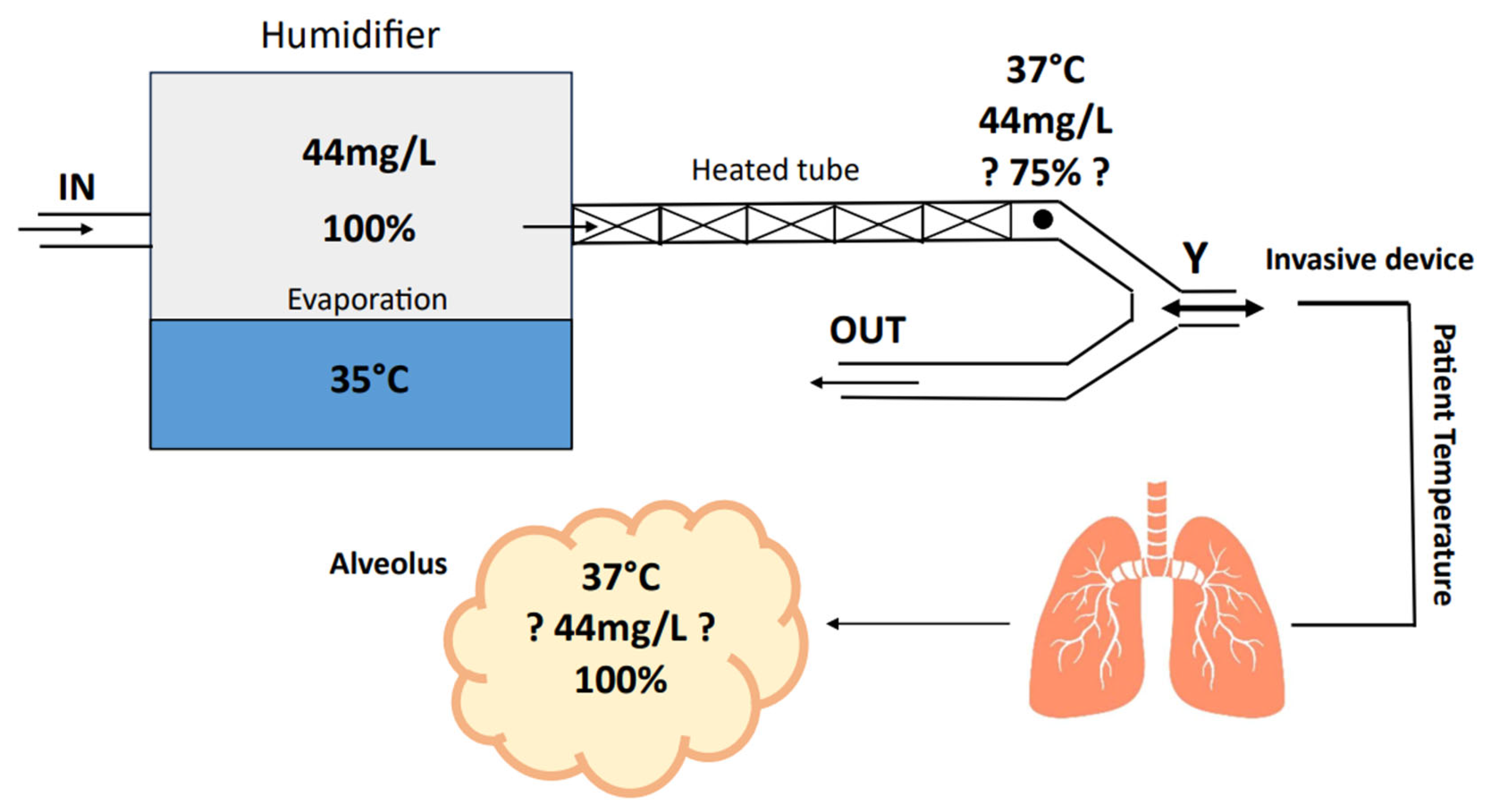 Medsci 12 00026 g005
