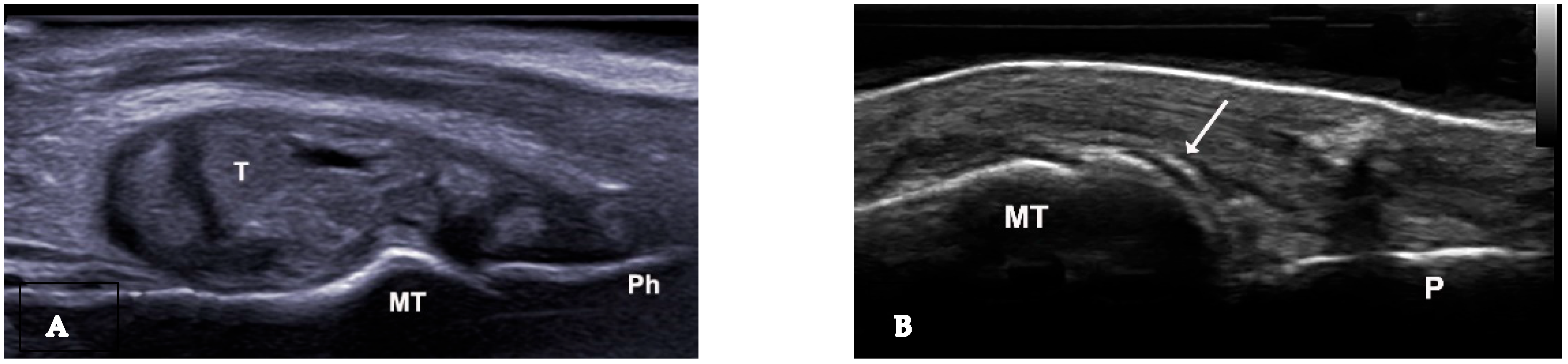 Medsci 12 00037 g002