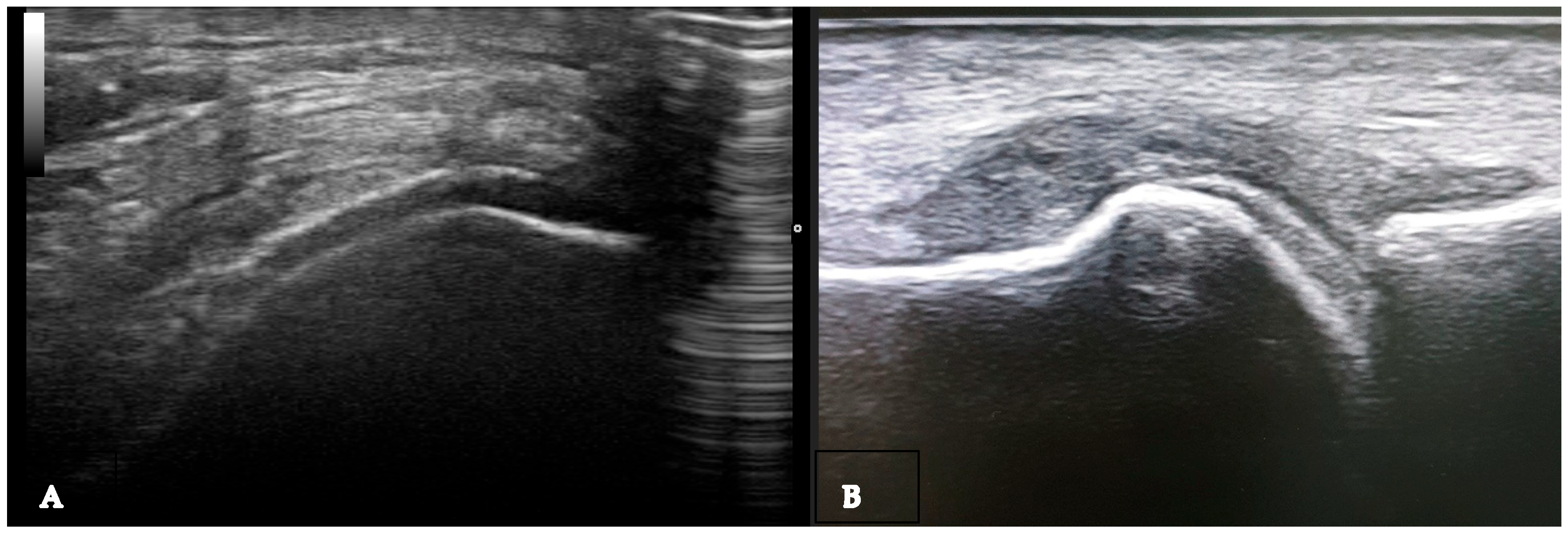 Medsci 12 00037 g006