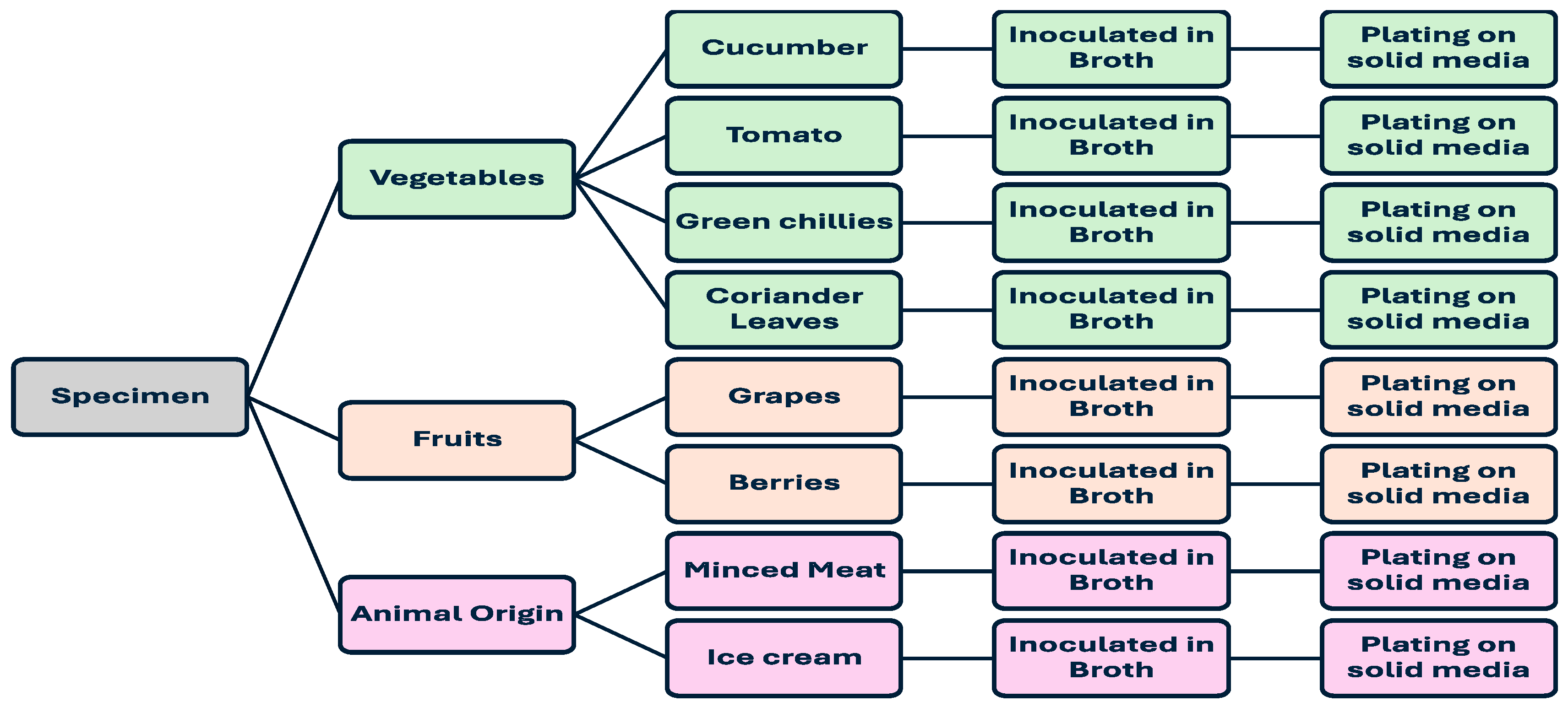 Medsci 12 00042 g001