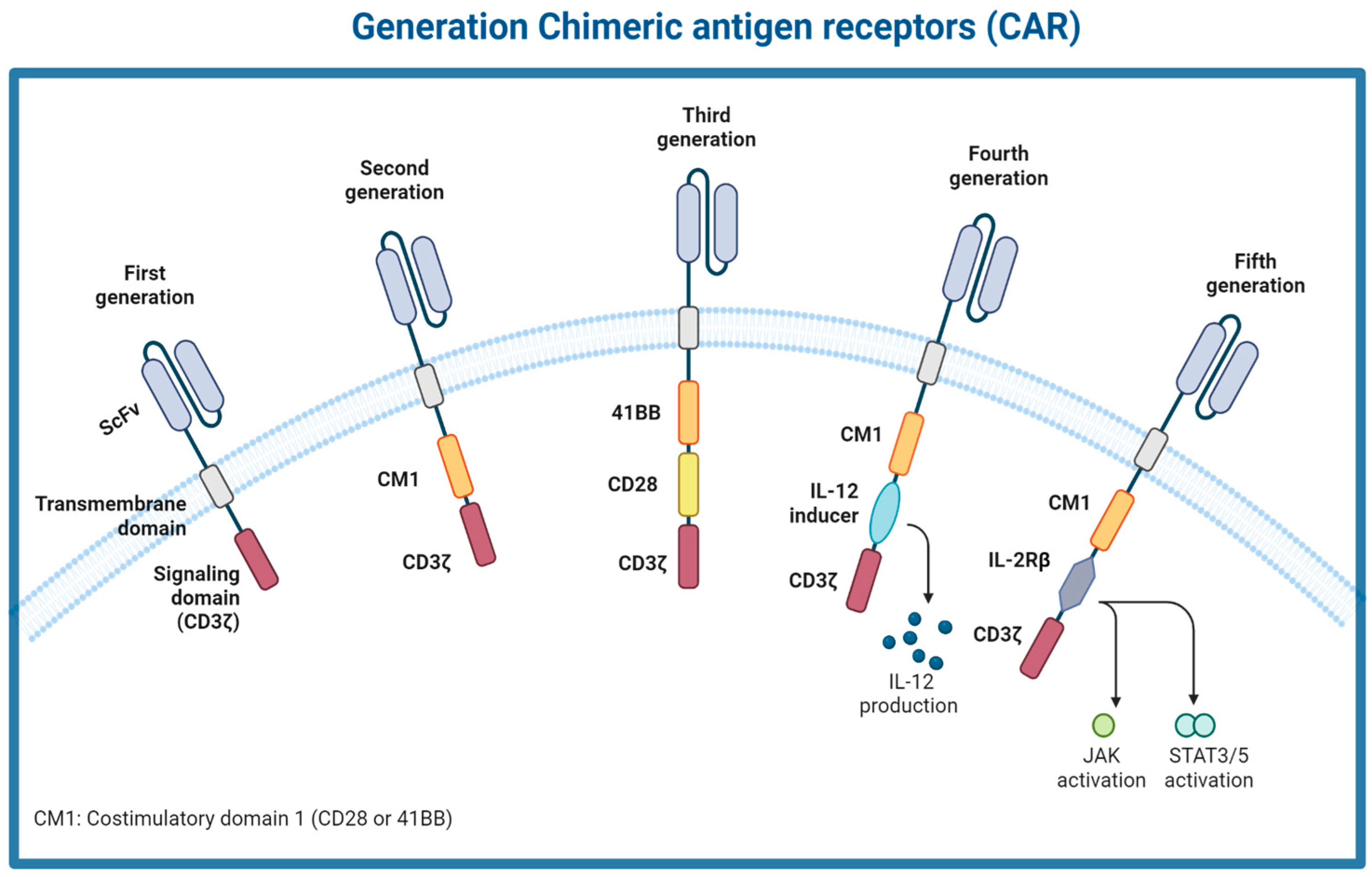 Medsci 12 00043 g002