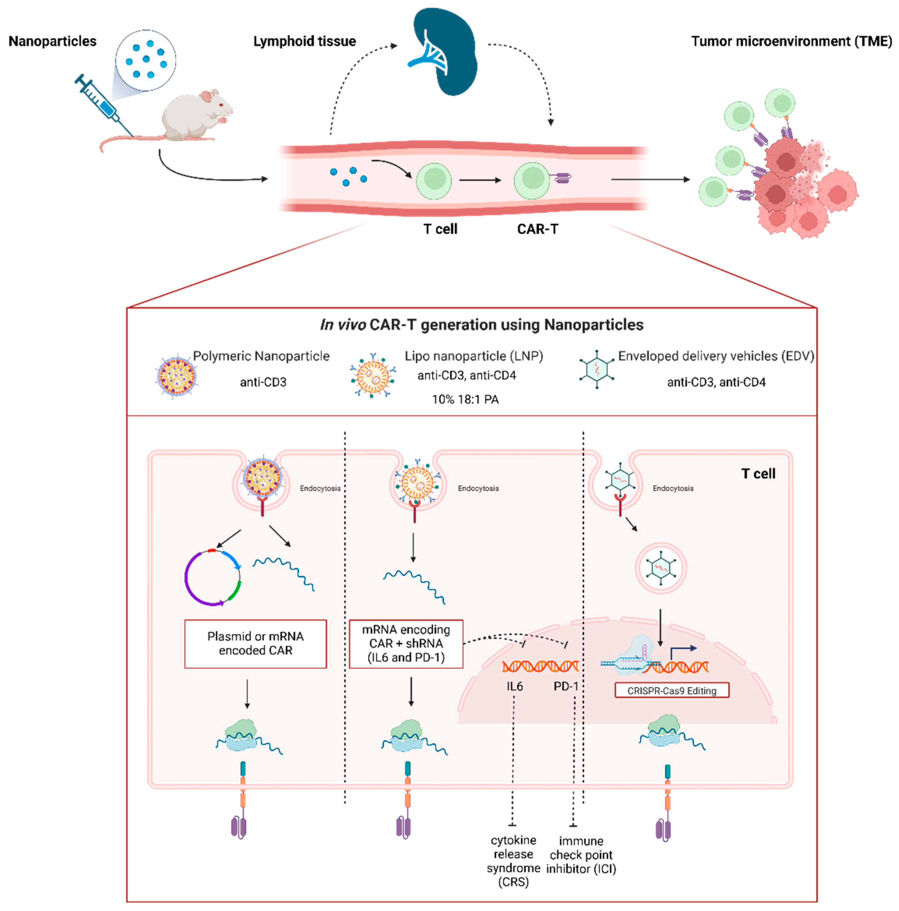 Medsci 12 00043 g004