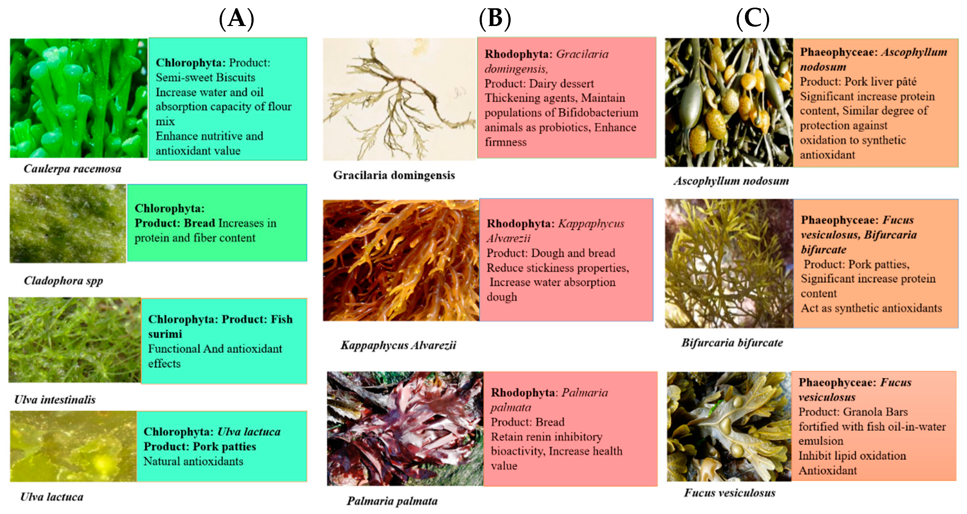 Medsci 12 00055 g003
