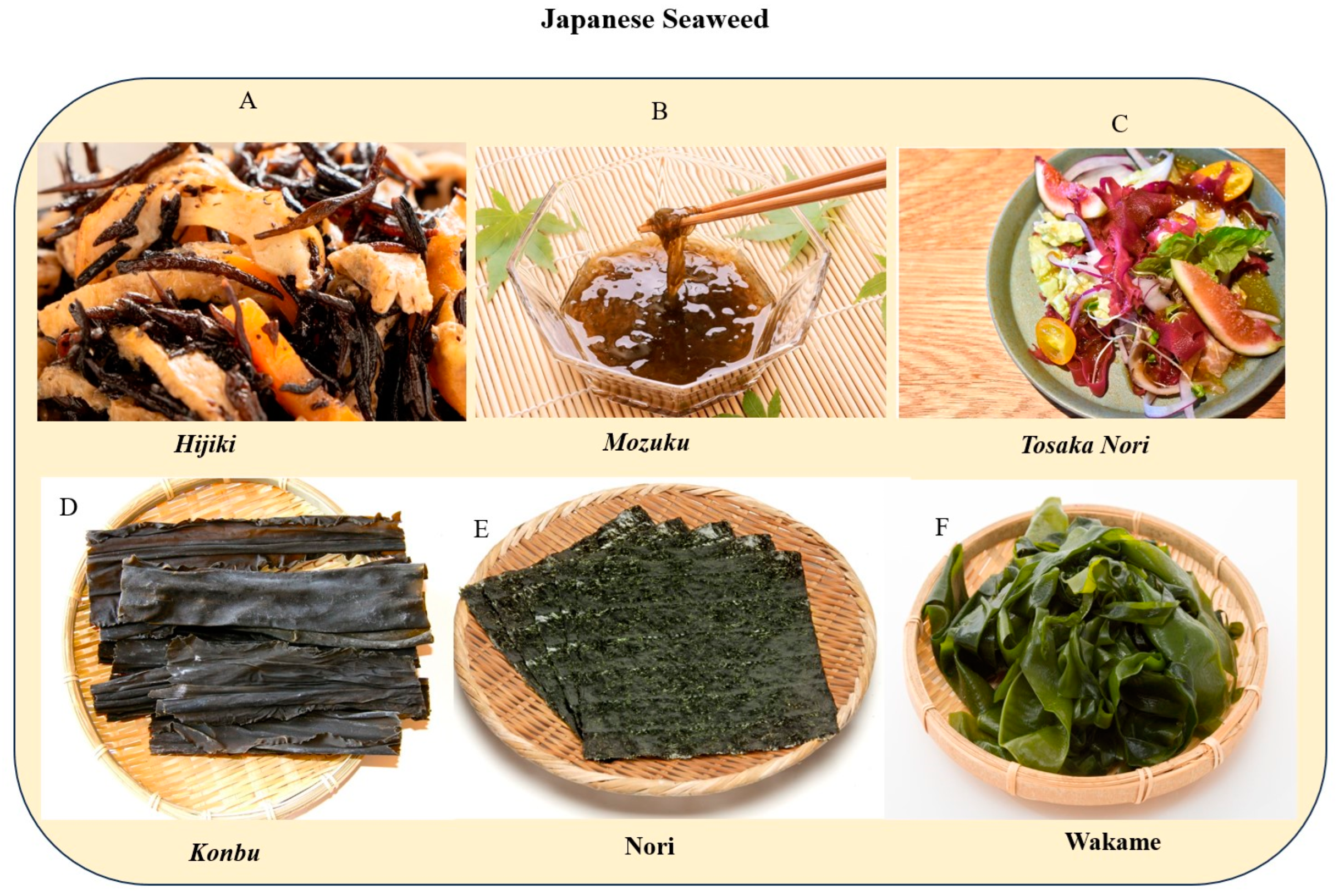 Medsci 12 00055 g004