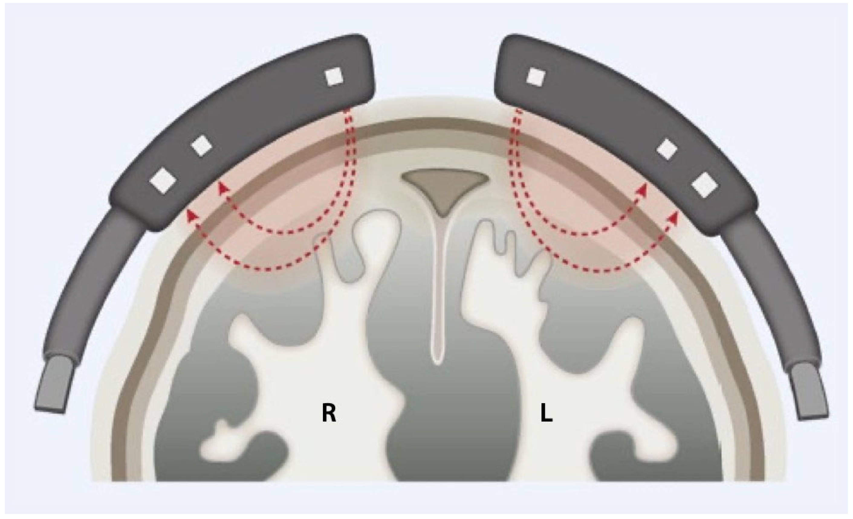 Medsci 12 00059 g002