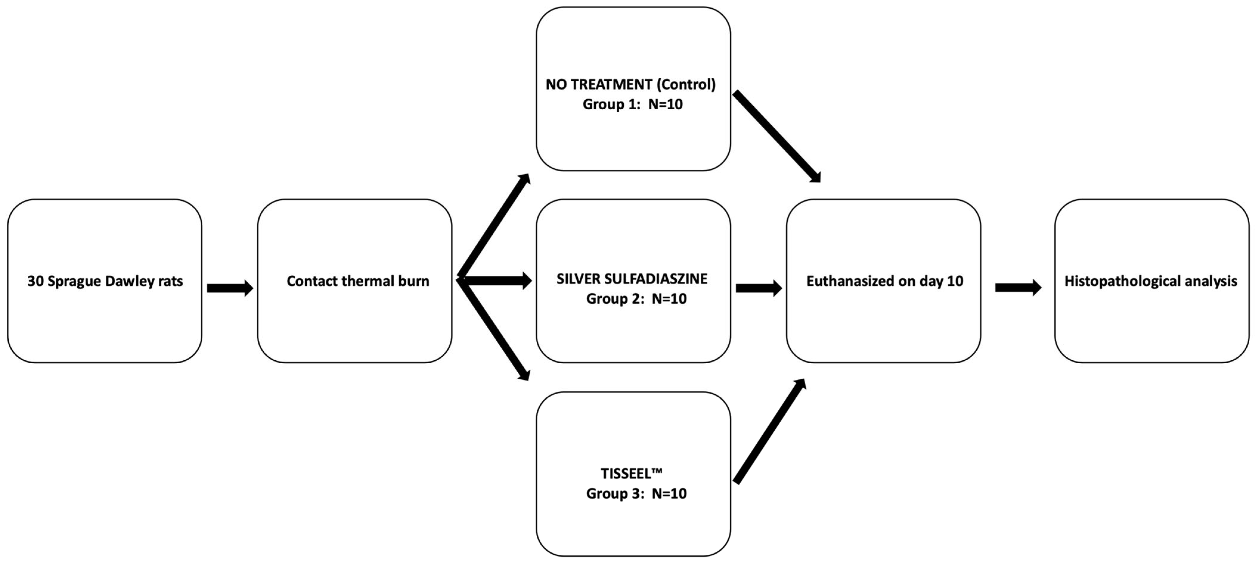 Medsci 12 00075 g001