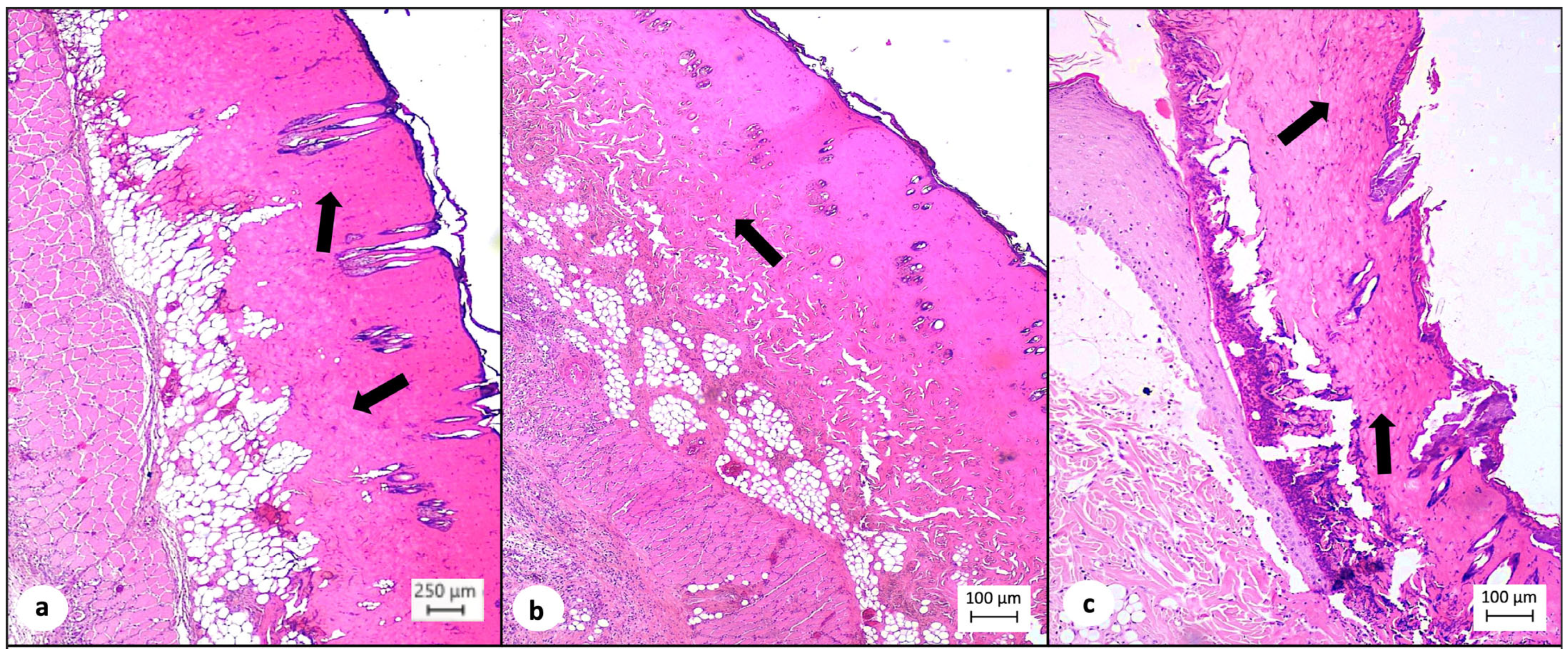Medsci 12 00075 g003