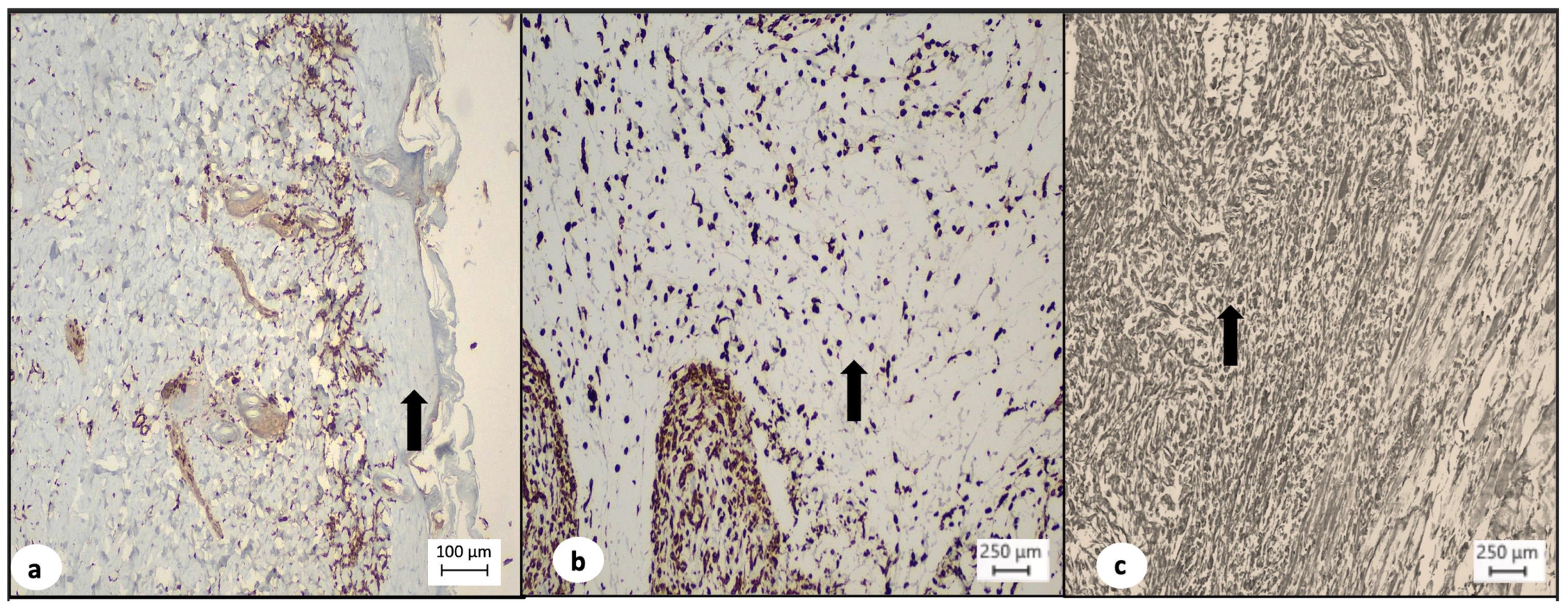 Medsci 12 00075 g004