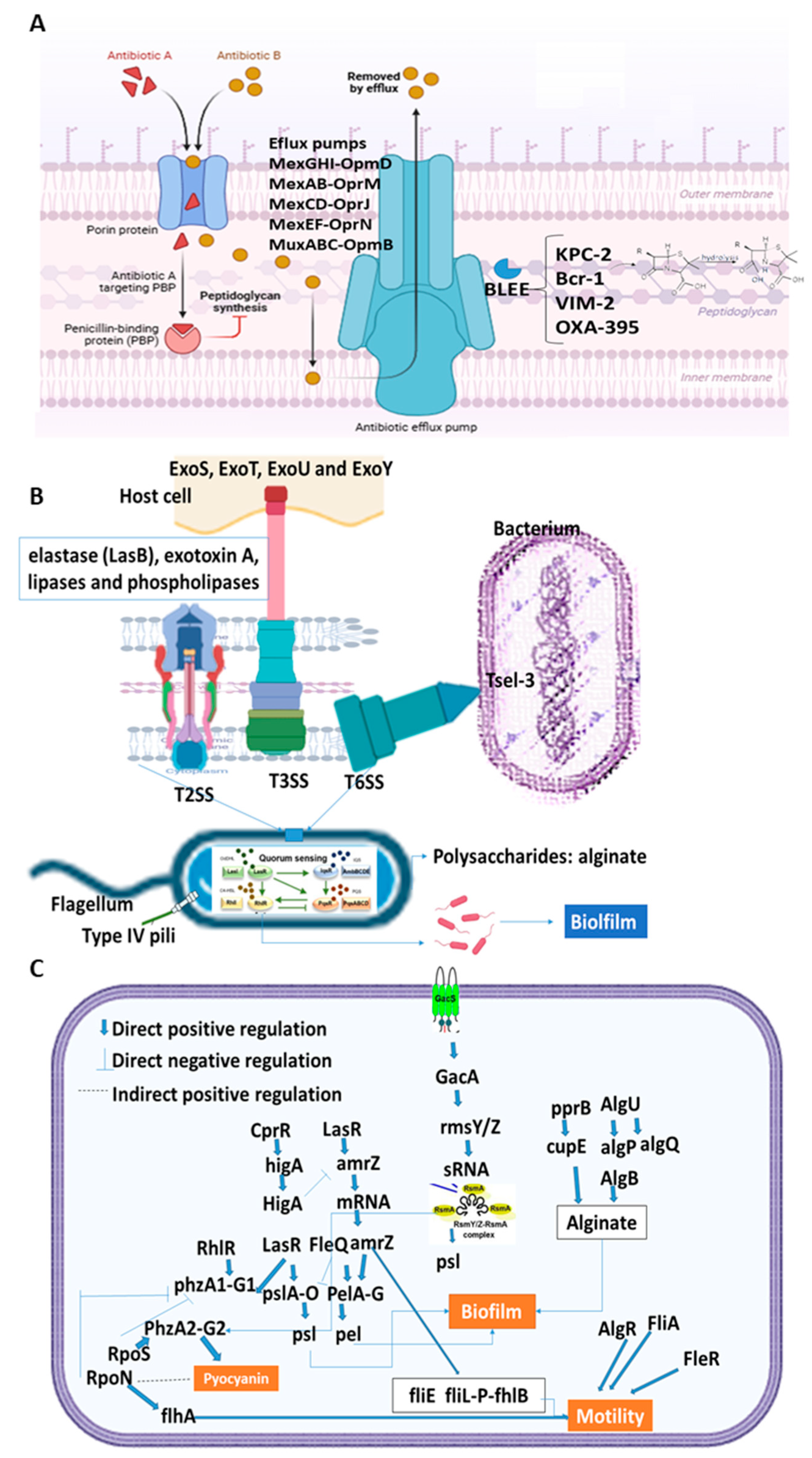 Medsci 13 00006 g002